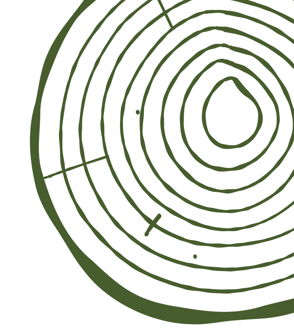 Tree ring.