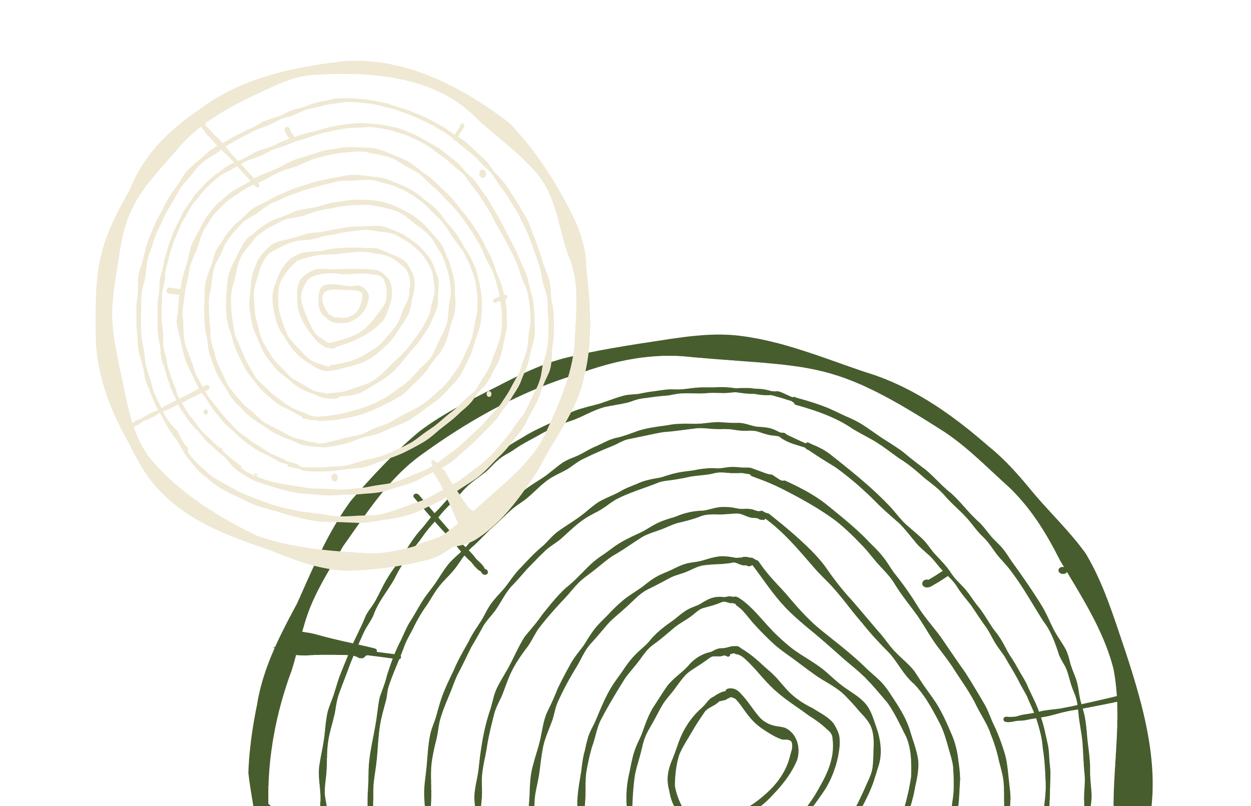 Tree rings.