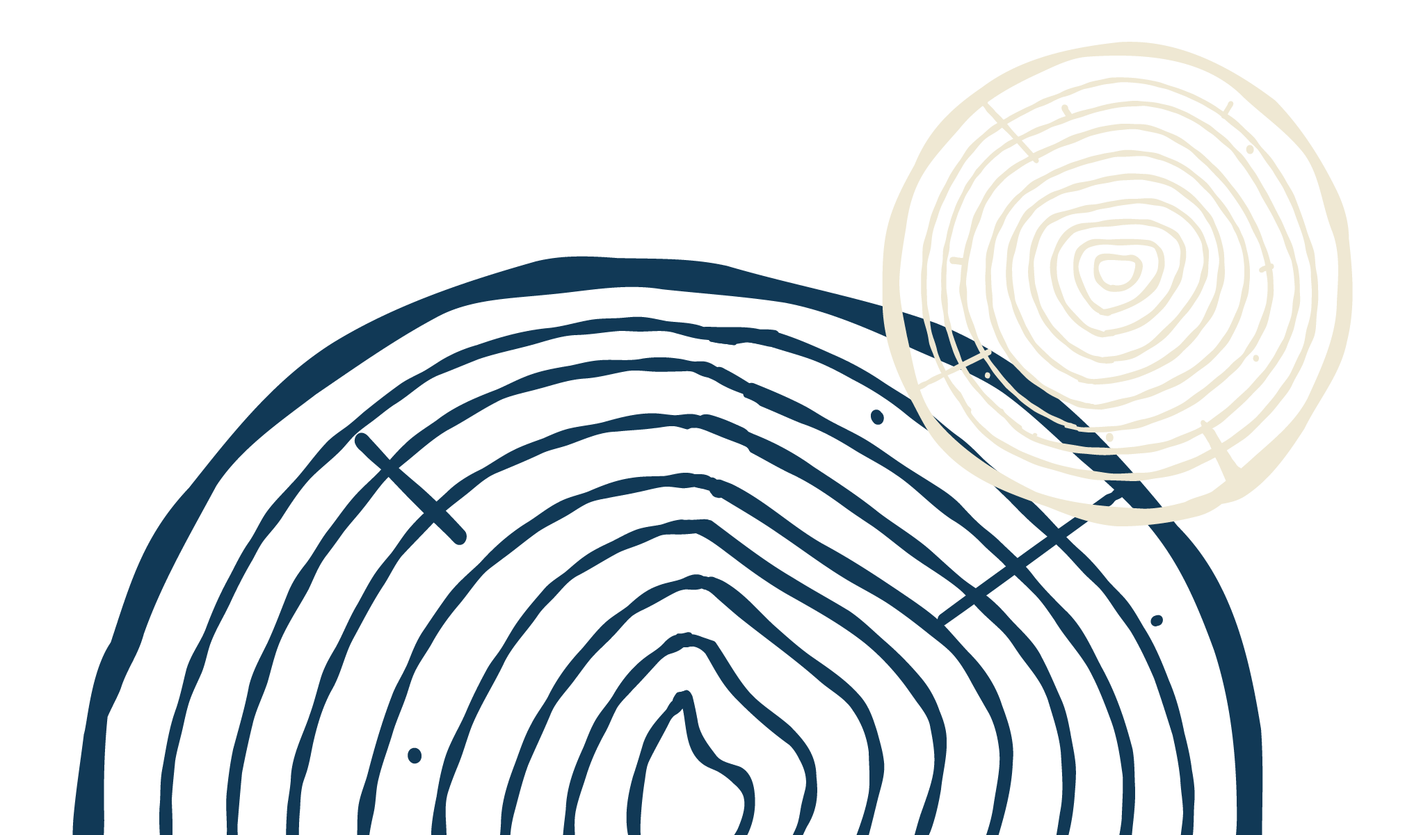 Tree rings.