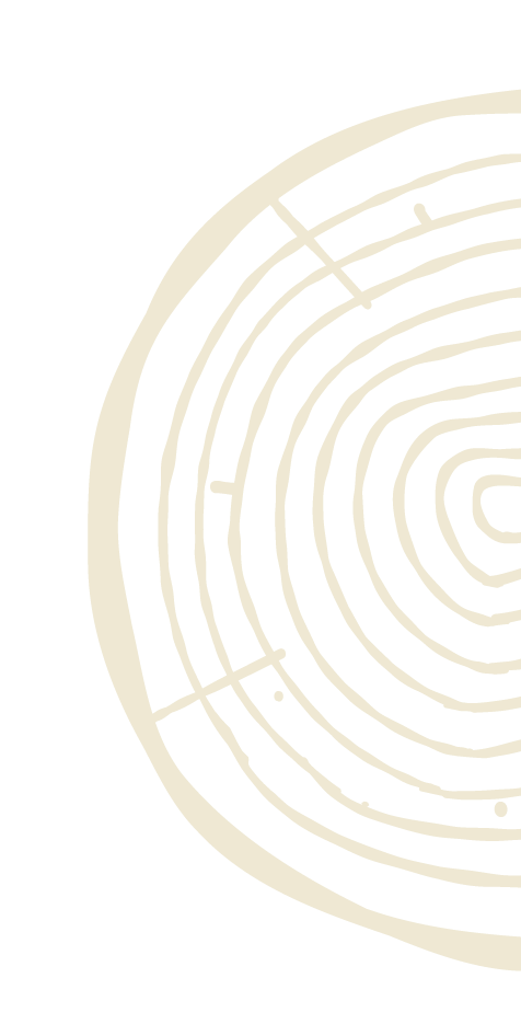Tree ring illustration.