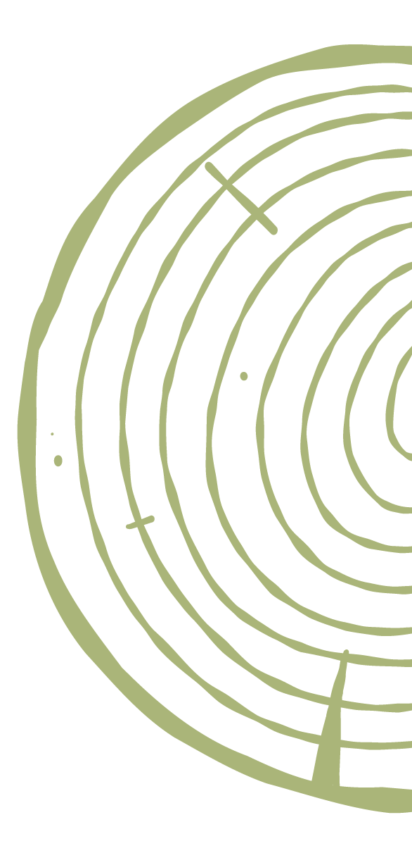 Tree ring illustration.