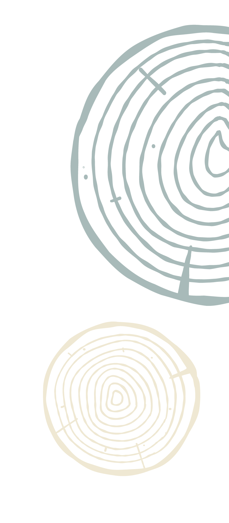 Tree rings.