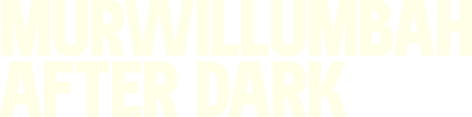 Murwillumbah After Dark