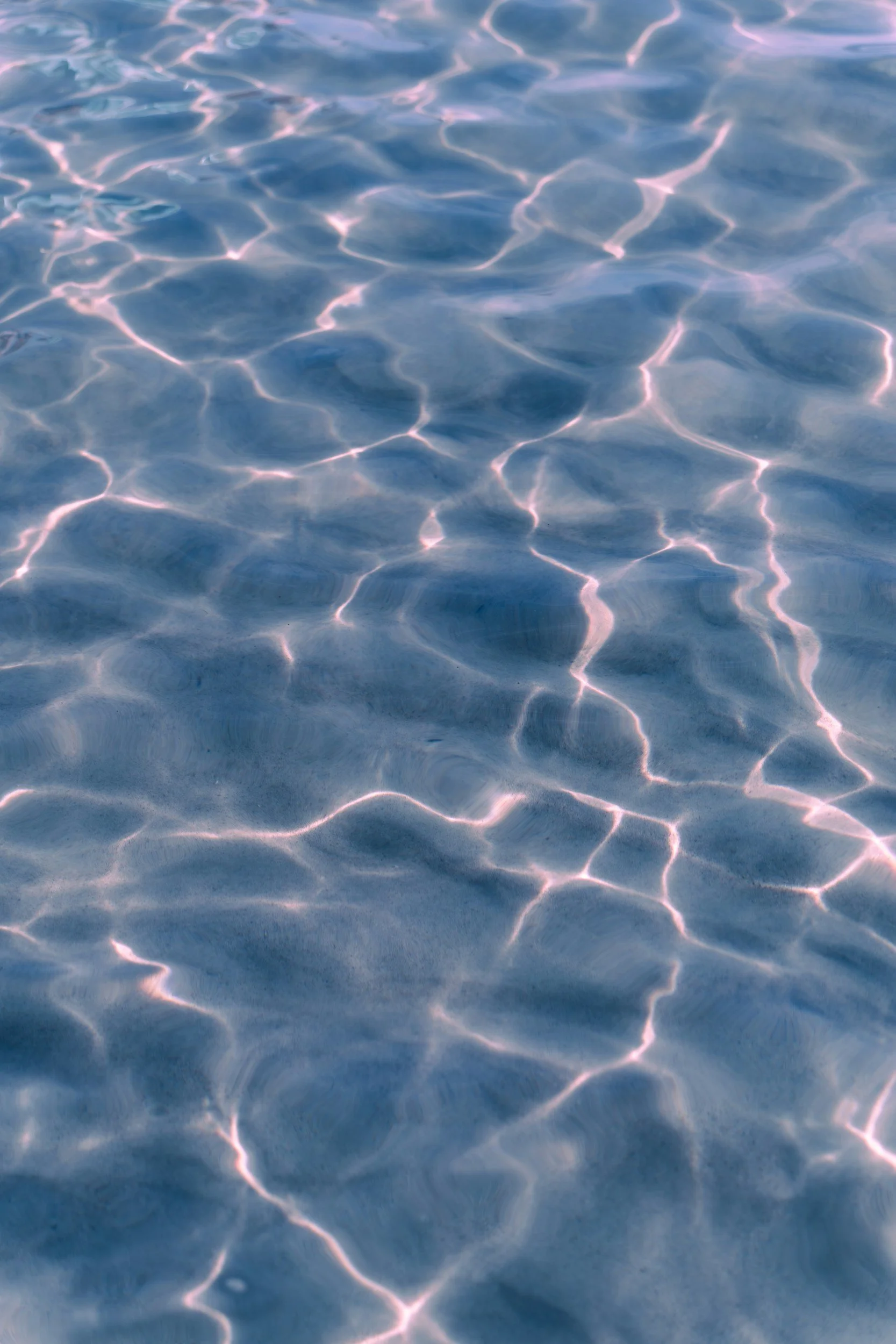 unsplash-image-dujWQFlKE7c.jpg