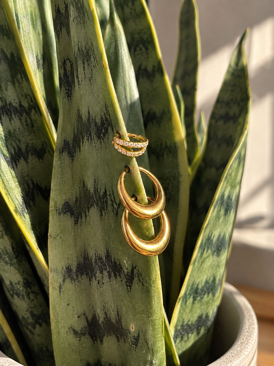 Two gold rings, one with small diamonds, hanging on a green variegated plant leaf.