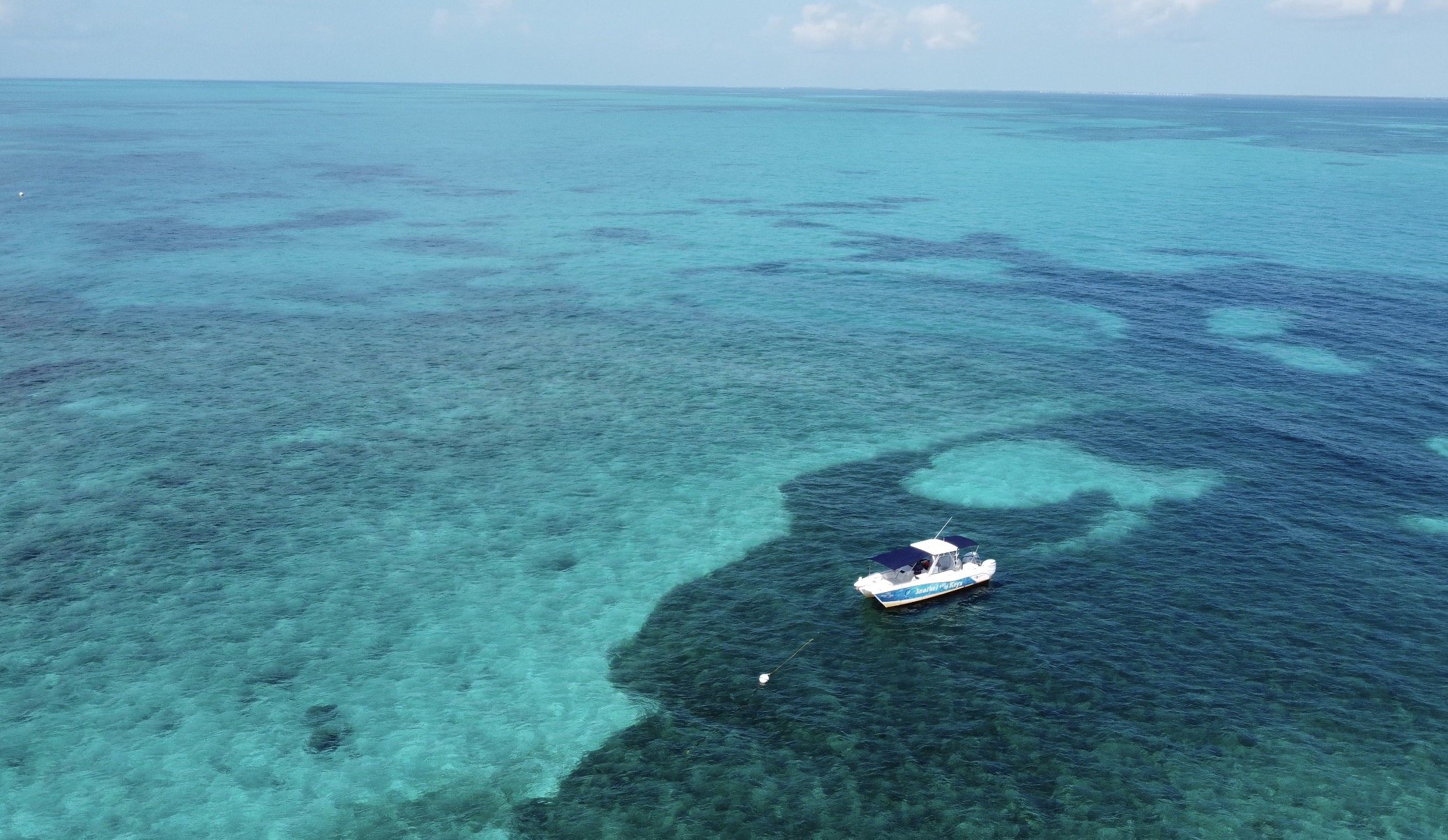 Snorkel The Keys in Pennekamp Park