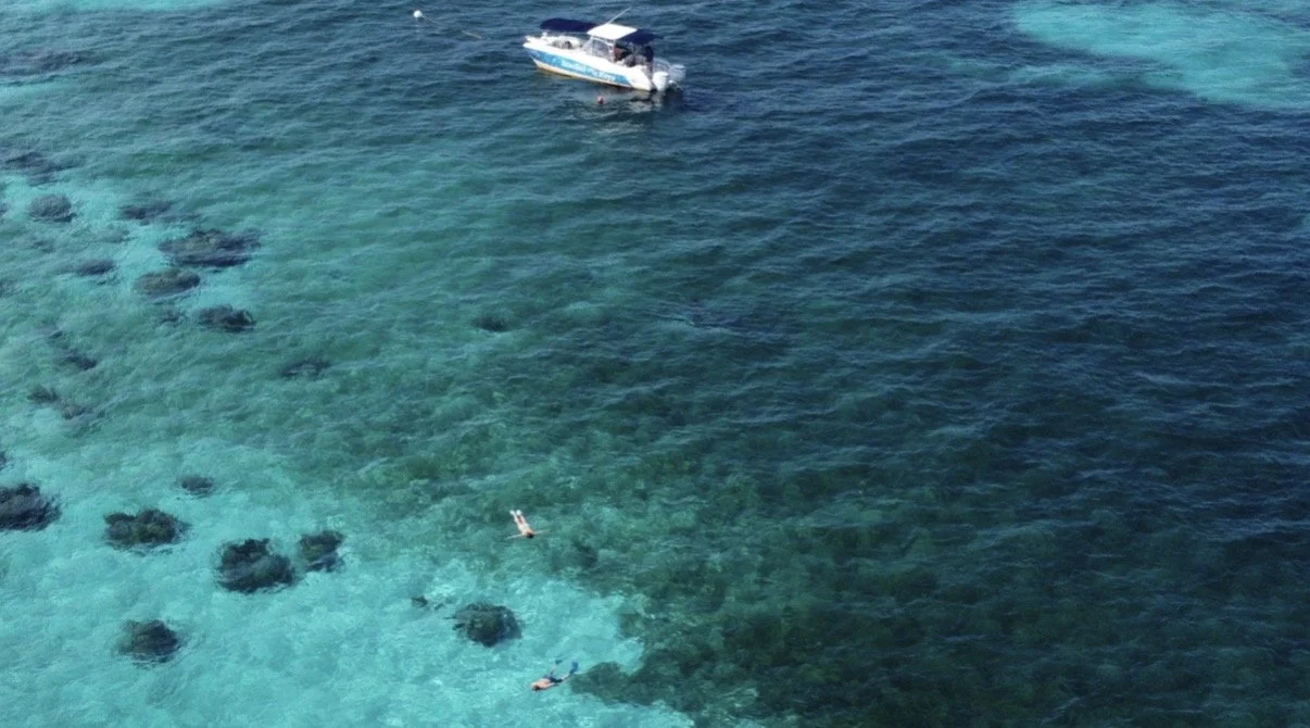 Snorkel The Keys on a private tour