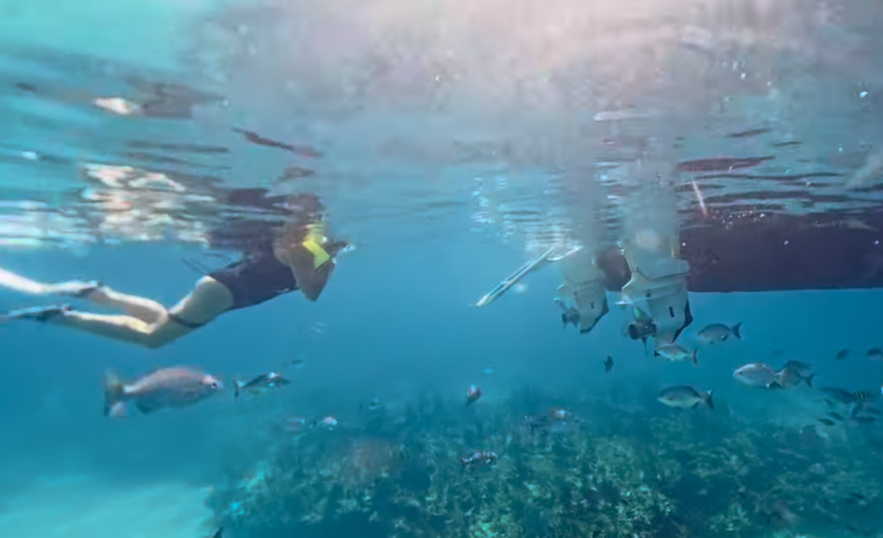 Snorkel The Keys at any skill level