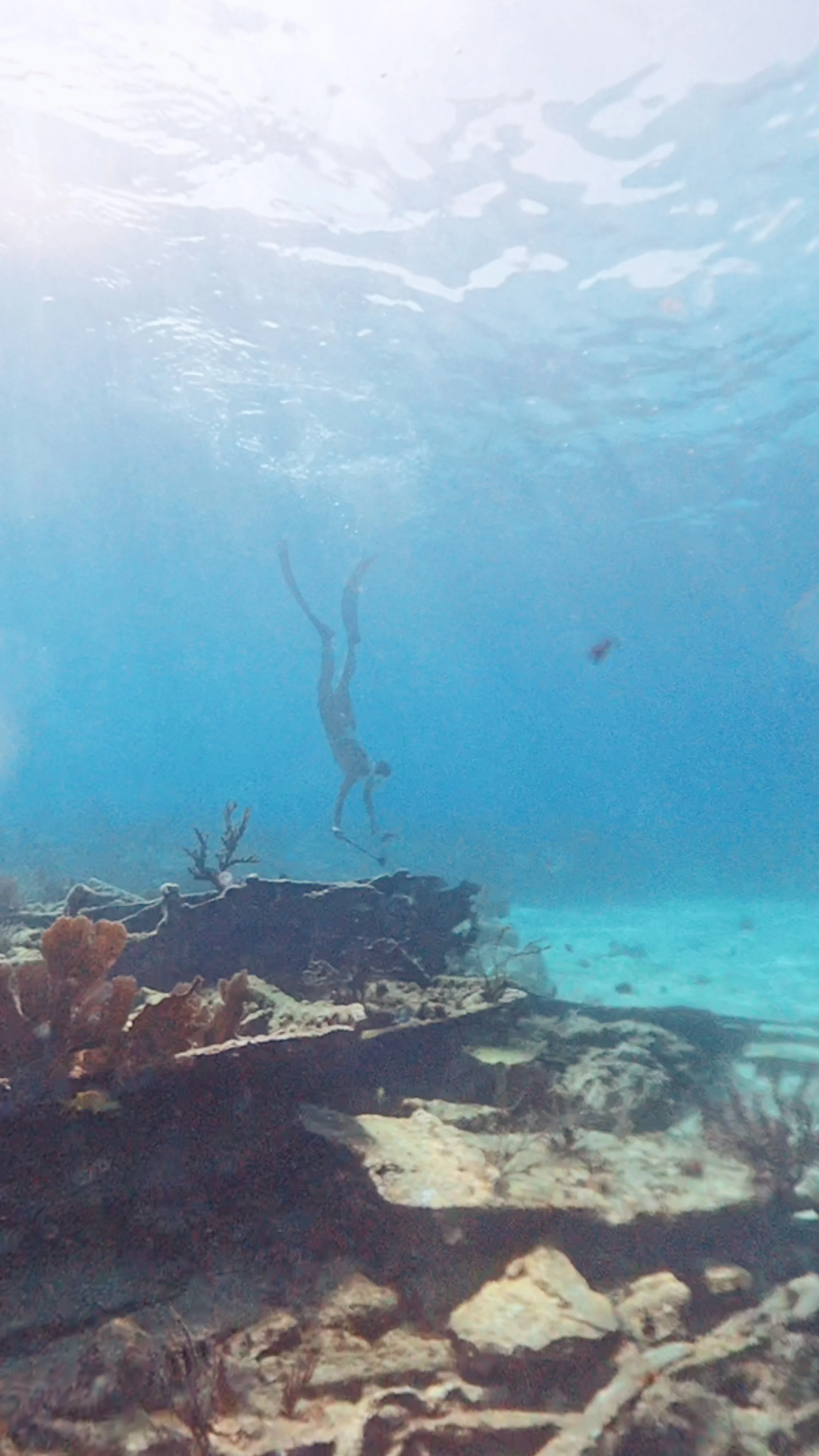 Snorkel The Keys at any skill level