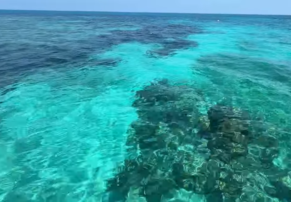 Snorkel The Keys for amazing views