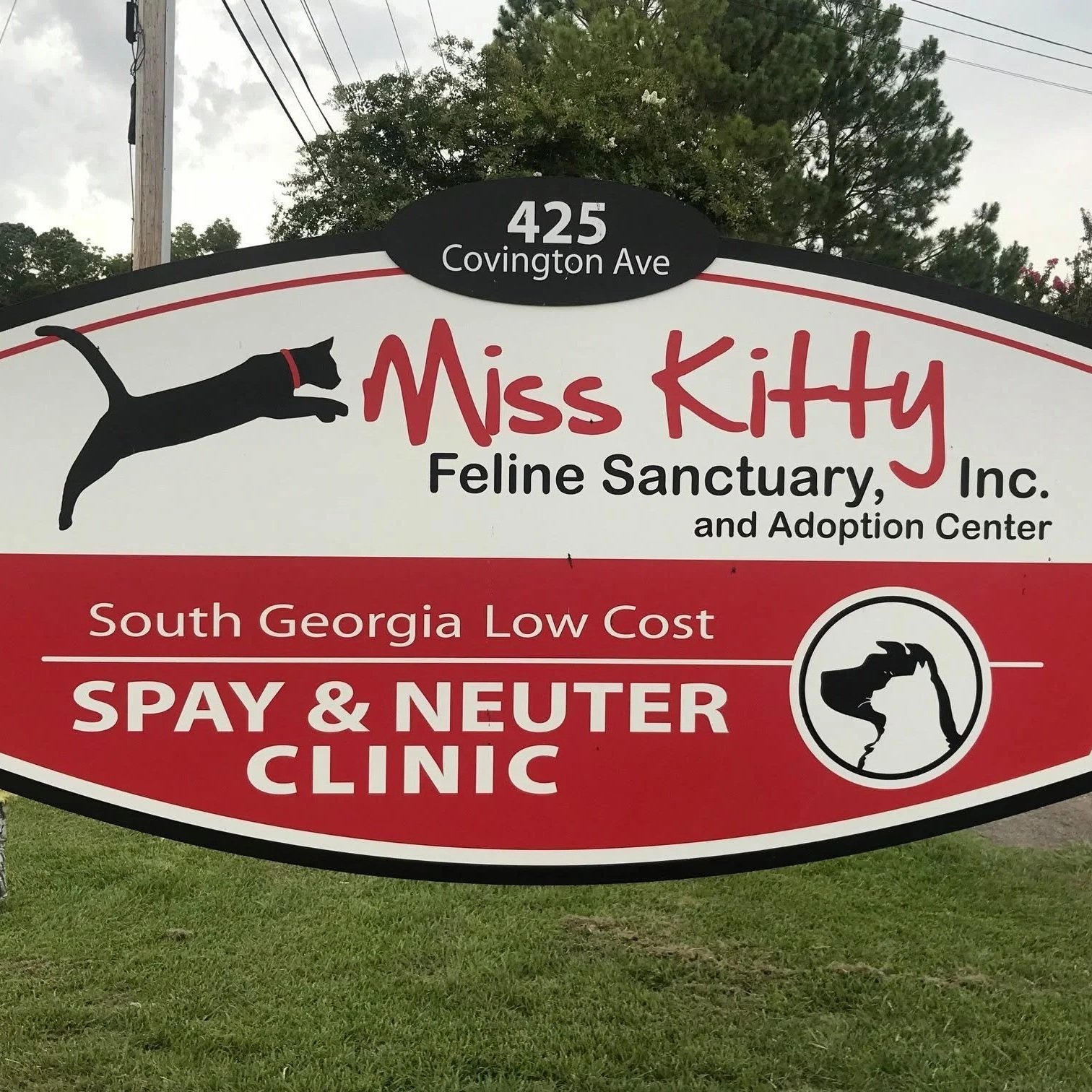 Sign for Miss Kitty Feline Sanctuary, Inc., and Adoption Center located at 425 Covington Avenue, with a black silhouette of a cat jumping and a logo of a cat in profile with a hand above it. The sign indicates lower-cost spay and neuter services in South Georgia.