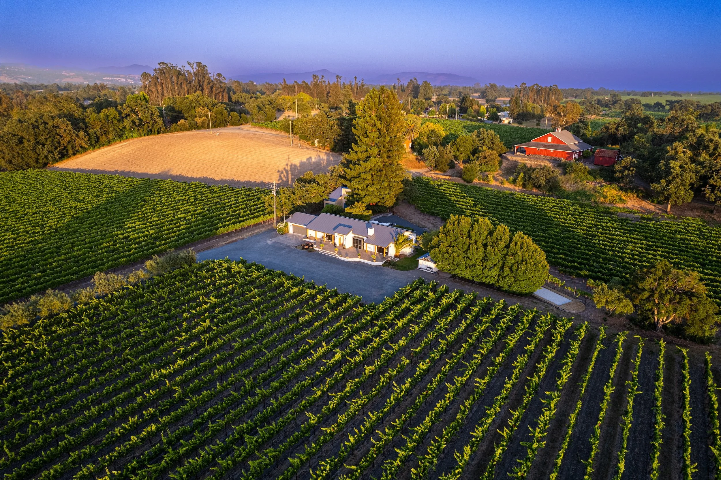 Aerial view of vineyards, a red barn, trees, and distant mountains under a clear sky at sunset.