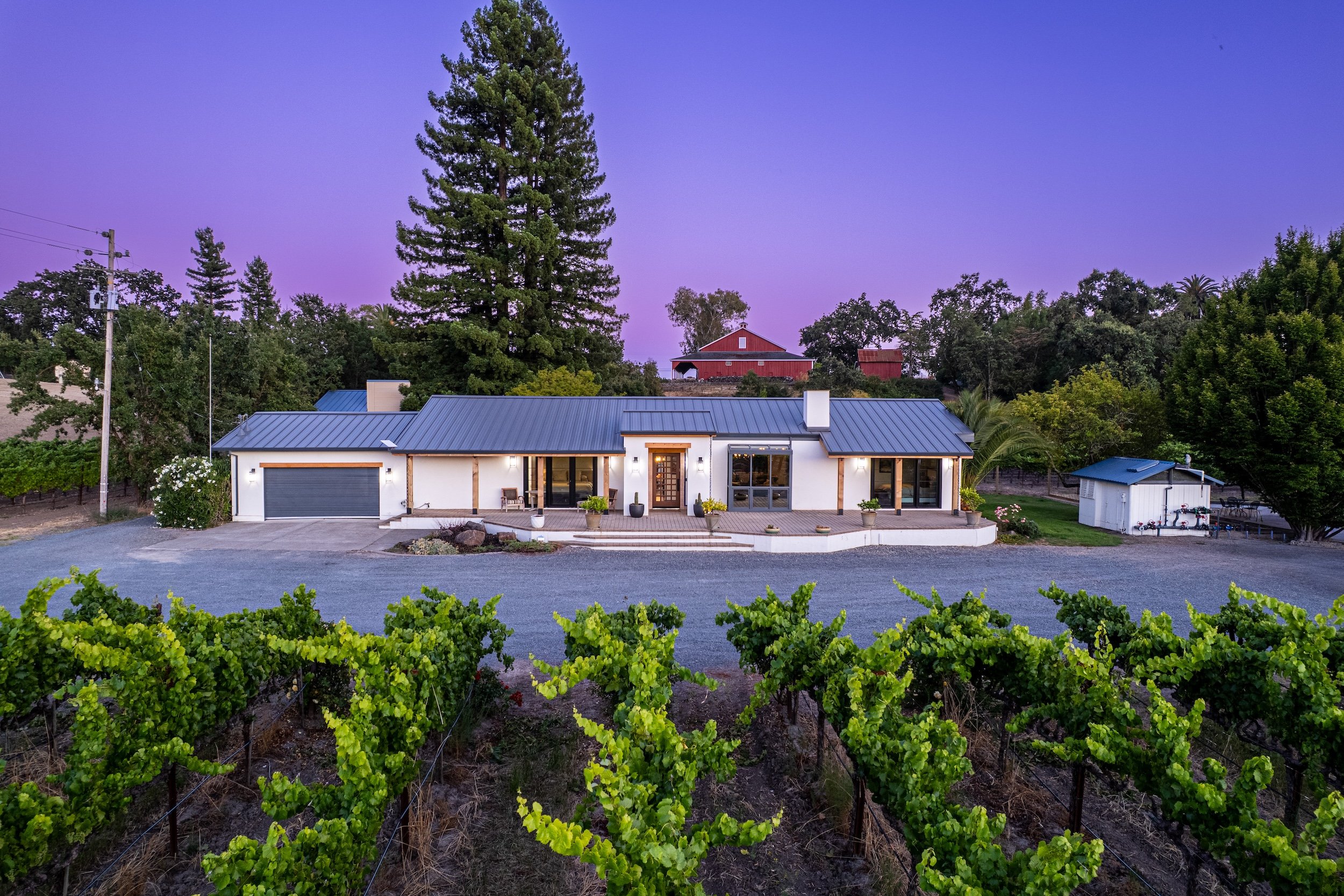 Modern white house with a metal roof, large front windows, and a landscaped porch with potted plants, surrounded by a vineyard with green vines, set against a background of tall trees, red barn structures, and a purple sky at dusk.