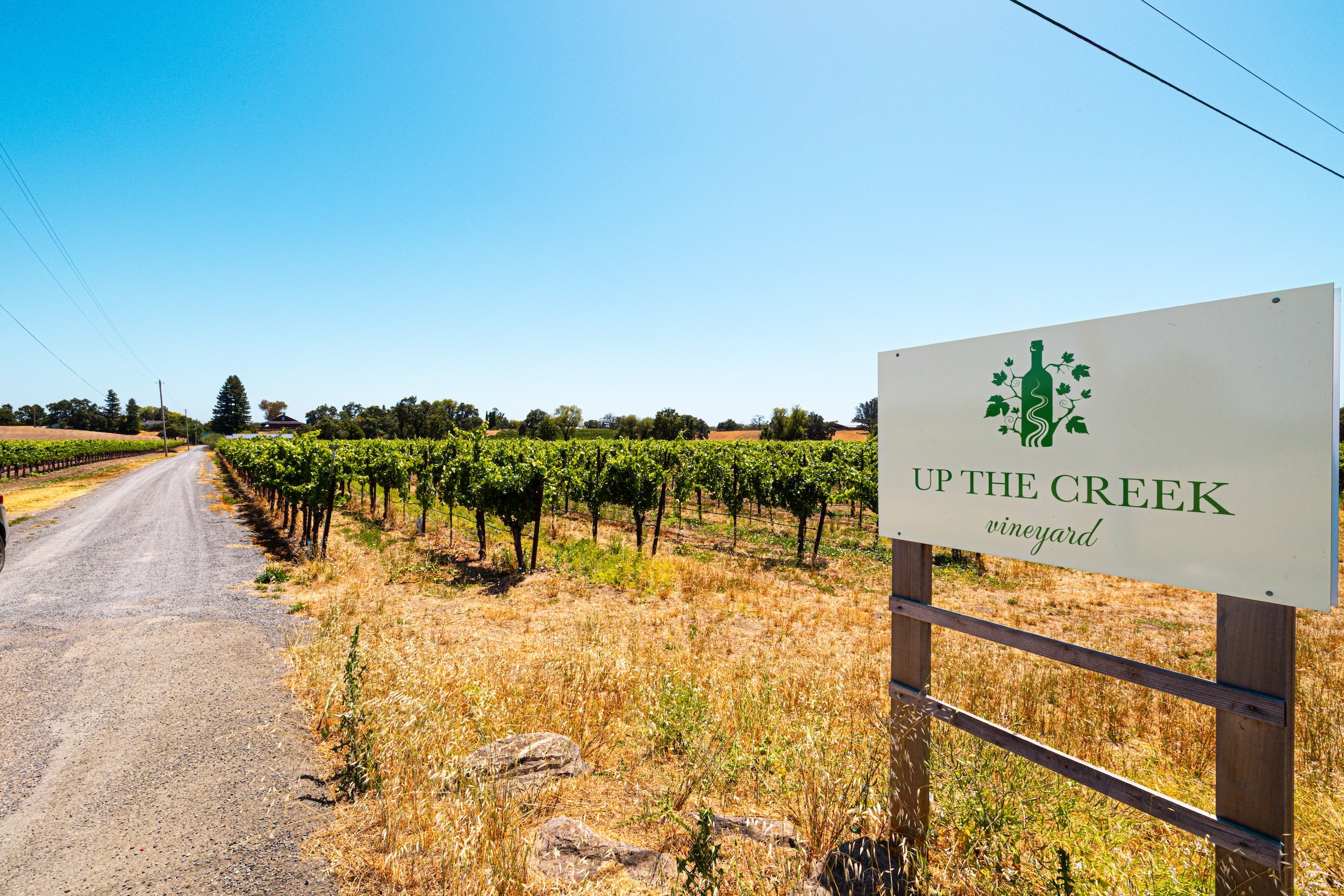 Vineyard with a sign that reads 'Up The Creek Vineyard' and a gravel road running through the rows of grapevines under a clear blue sky.