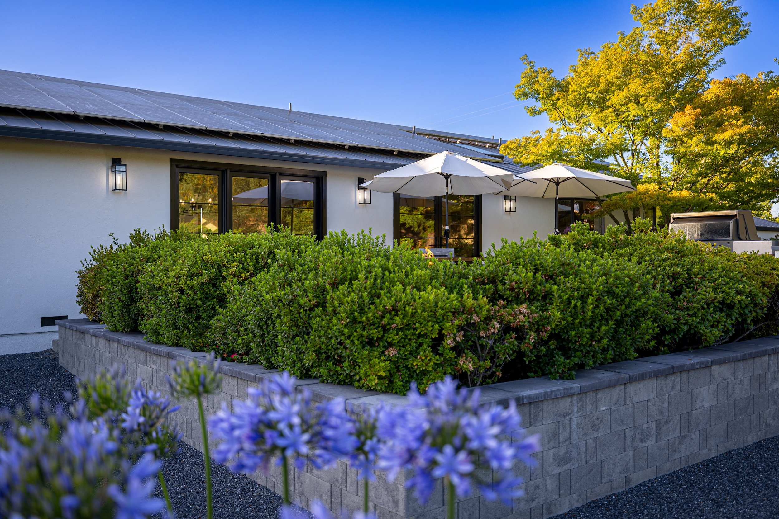 A house with solar panels on the roof, surrounded by green bushes, a tree with yellow leaves, outdoor umbrellas, and a barbecue grill, under a clear blue sky.