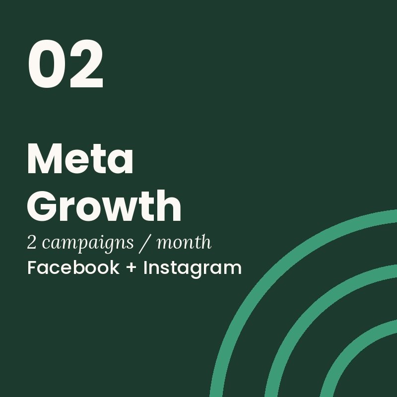Meta Growth paid social advertising package — Facebook and Instagram campaign management Queensland