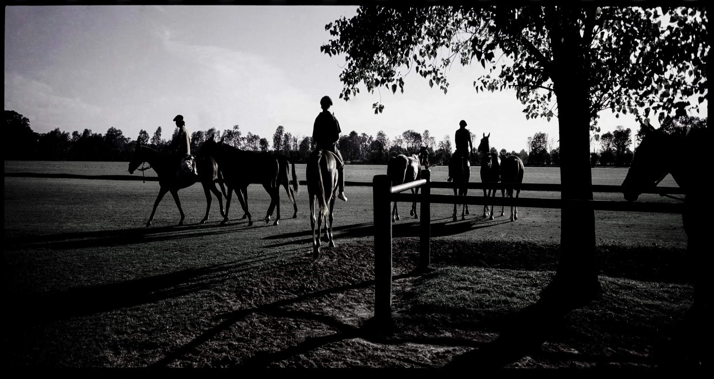 polo club warm-up.jpg