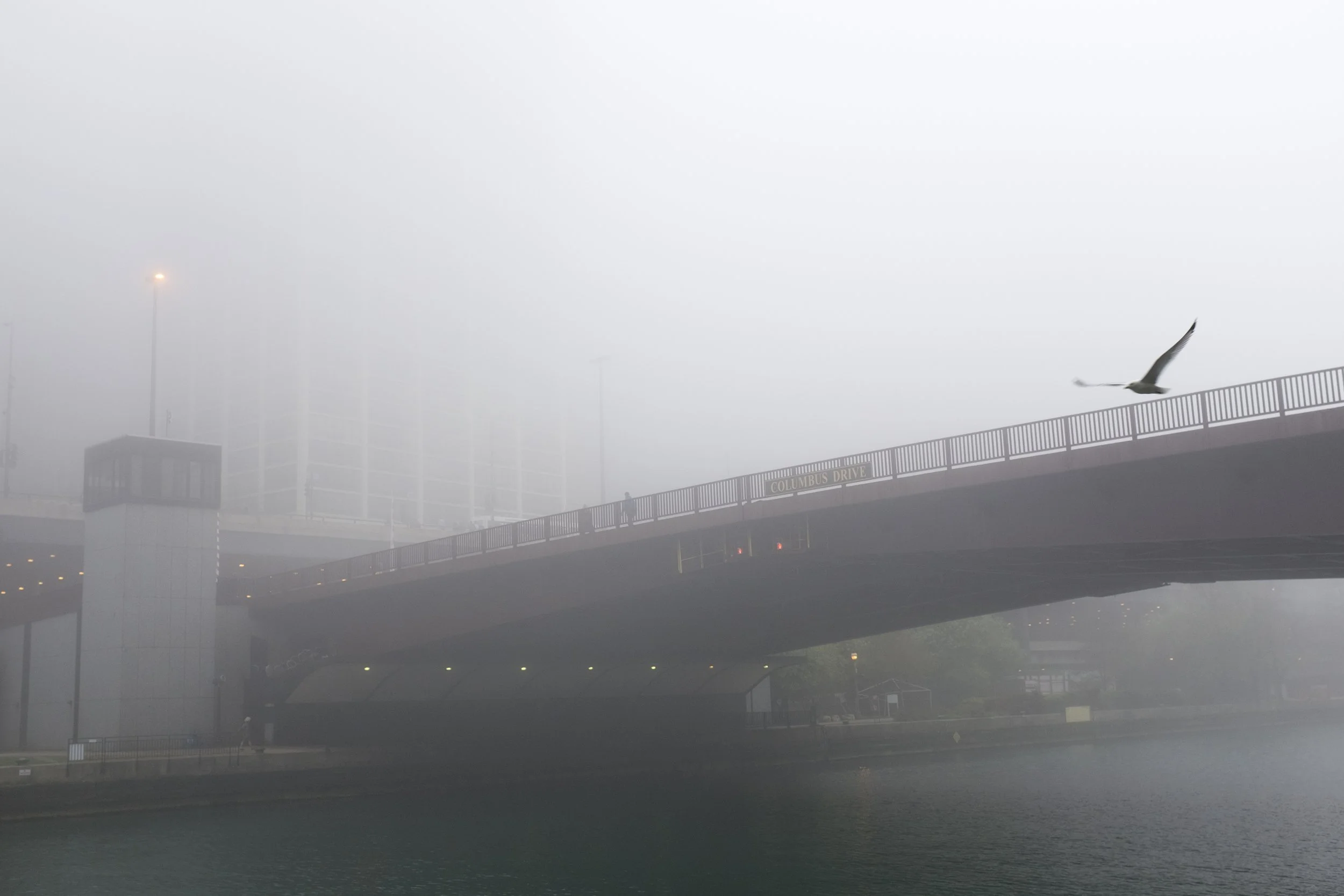 _DSF3897.jpg