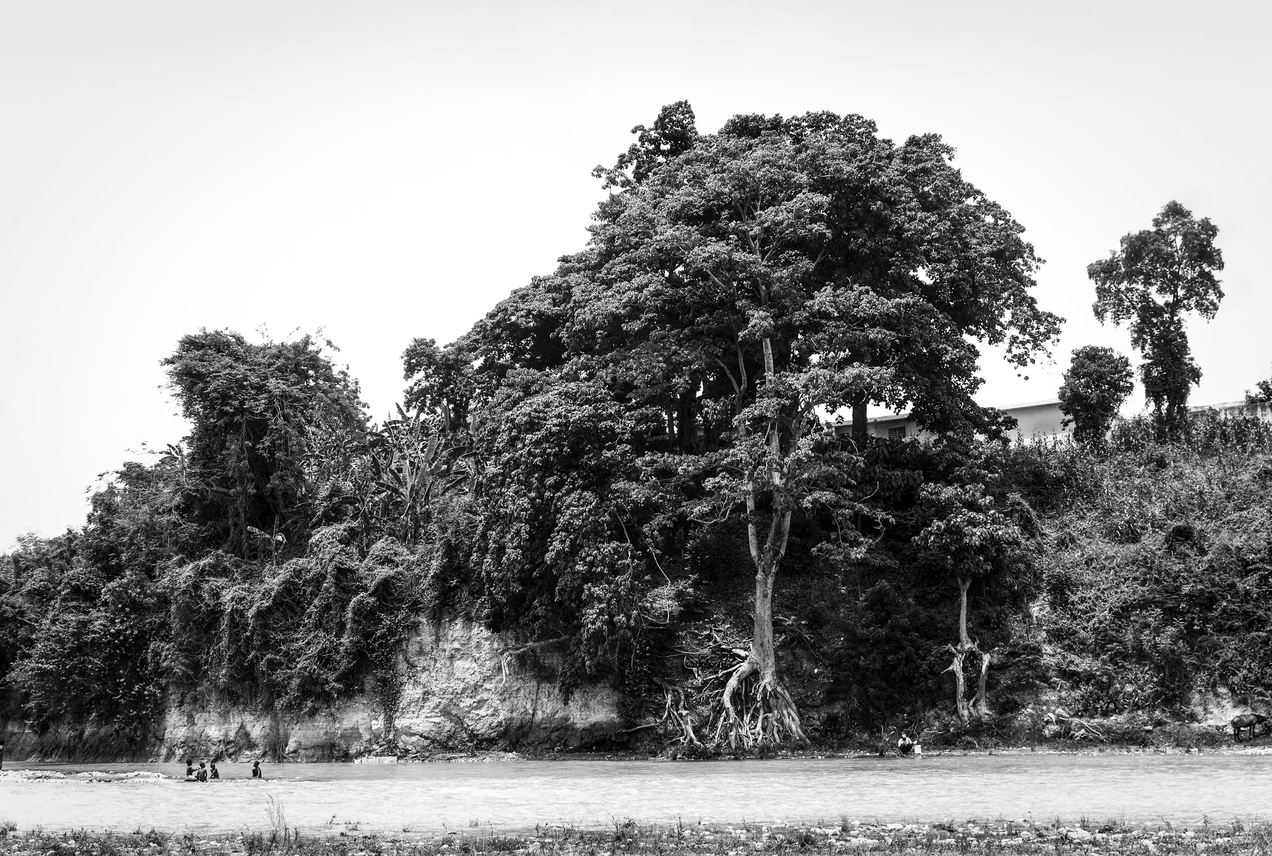 L5000525-Edit.jpg