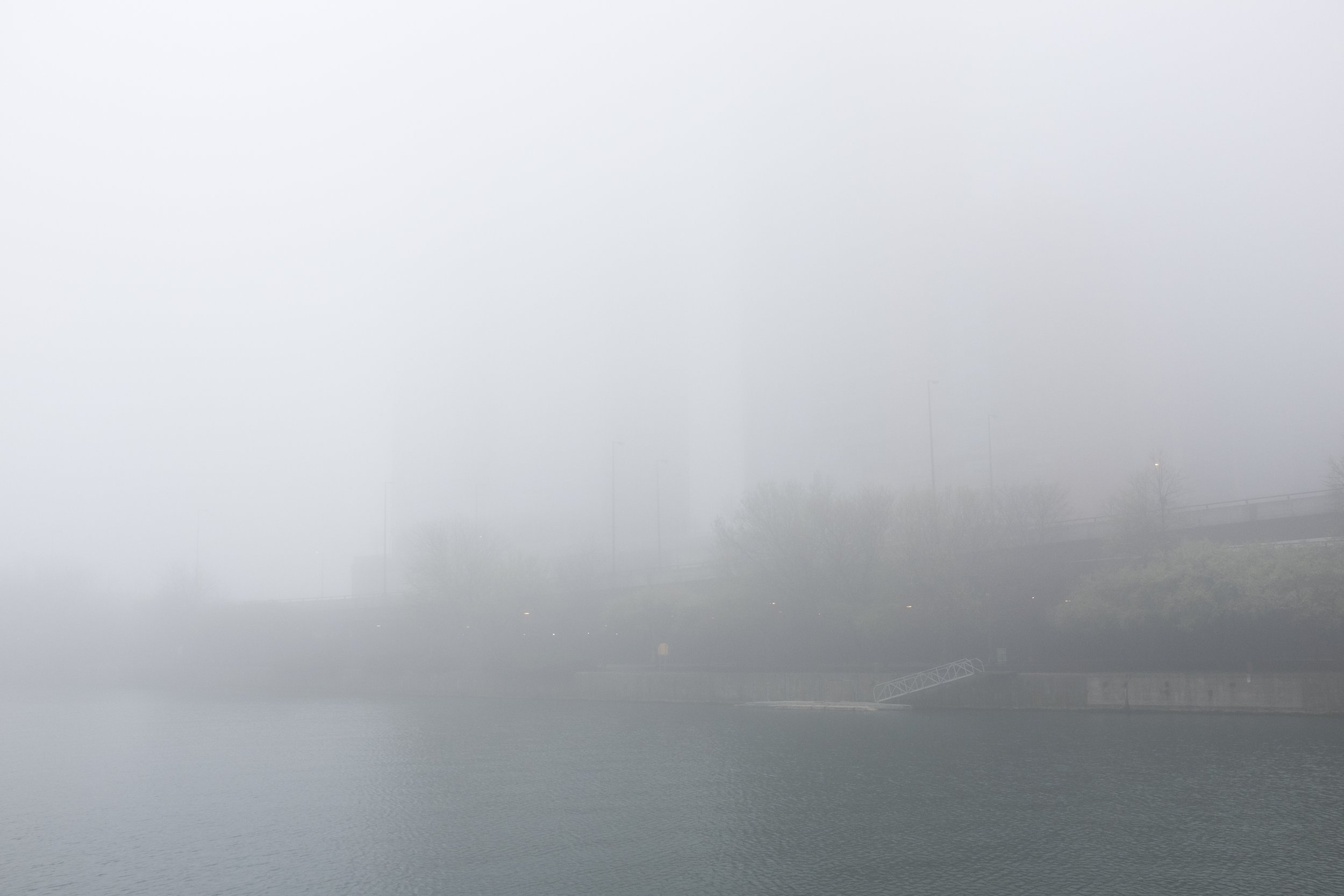 _DSF3881.jpg