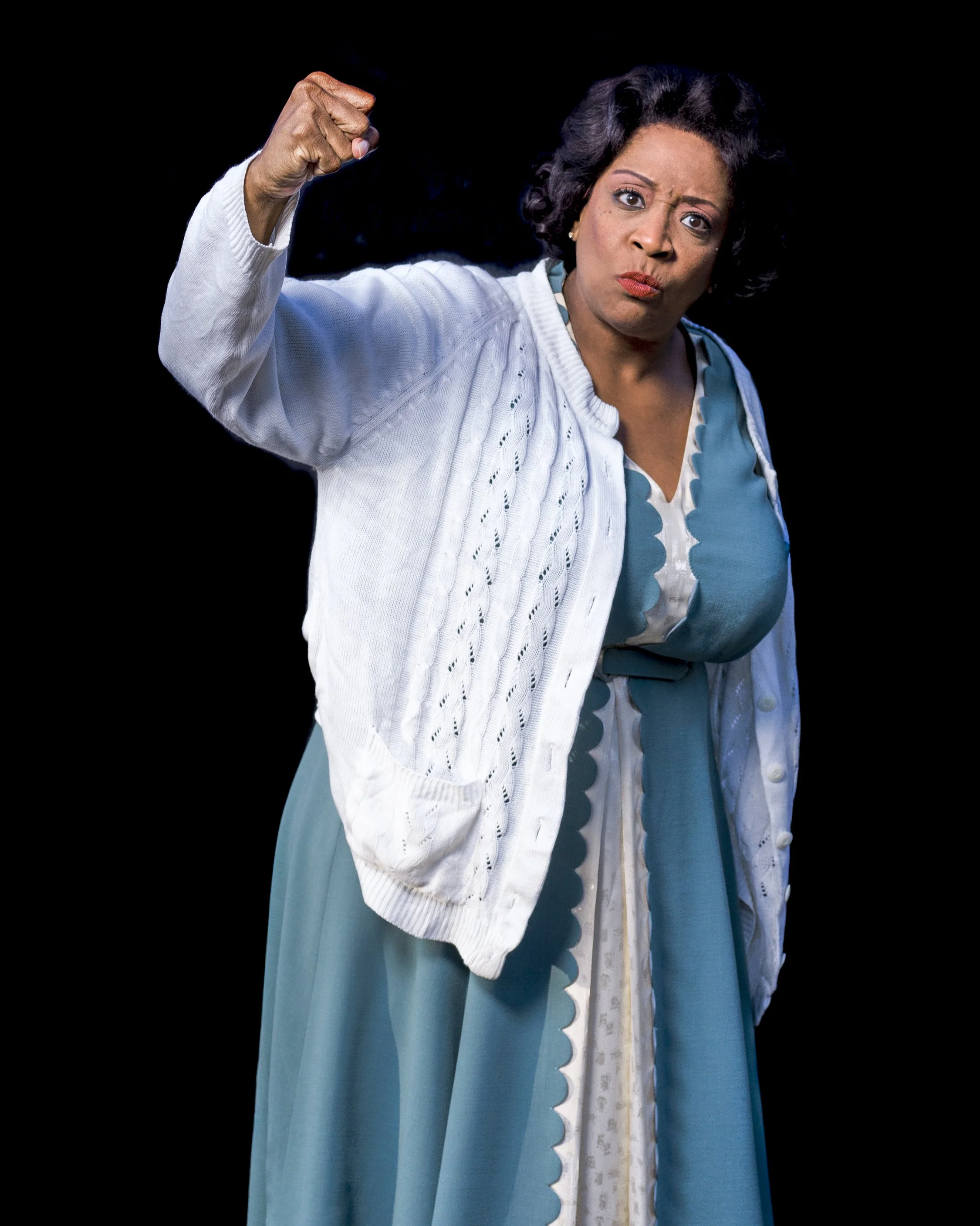 FANNIE THE MUSIC AND LIFE OF FANNIE LOU HAMER E. Faye Butler Fannie Lou Hamer, Speak On It Goodman Theatre civil rights activist