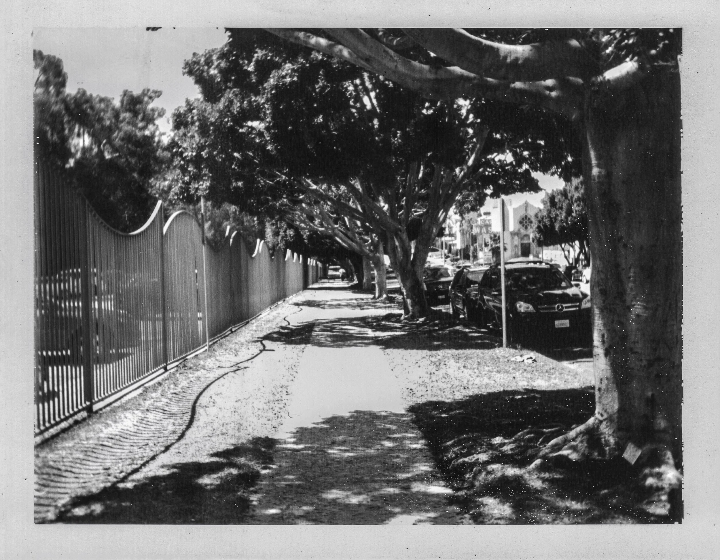 090413_ 23.jpg