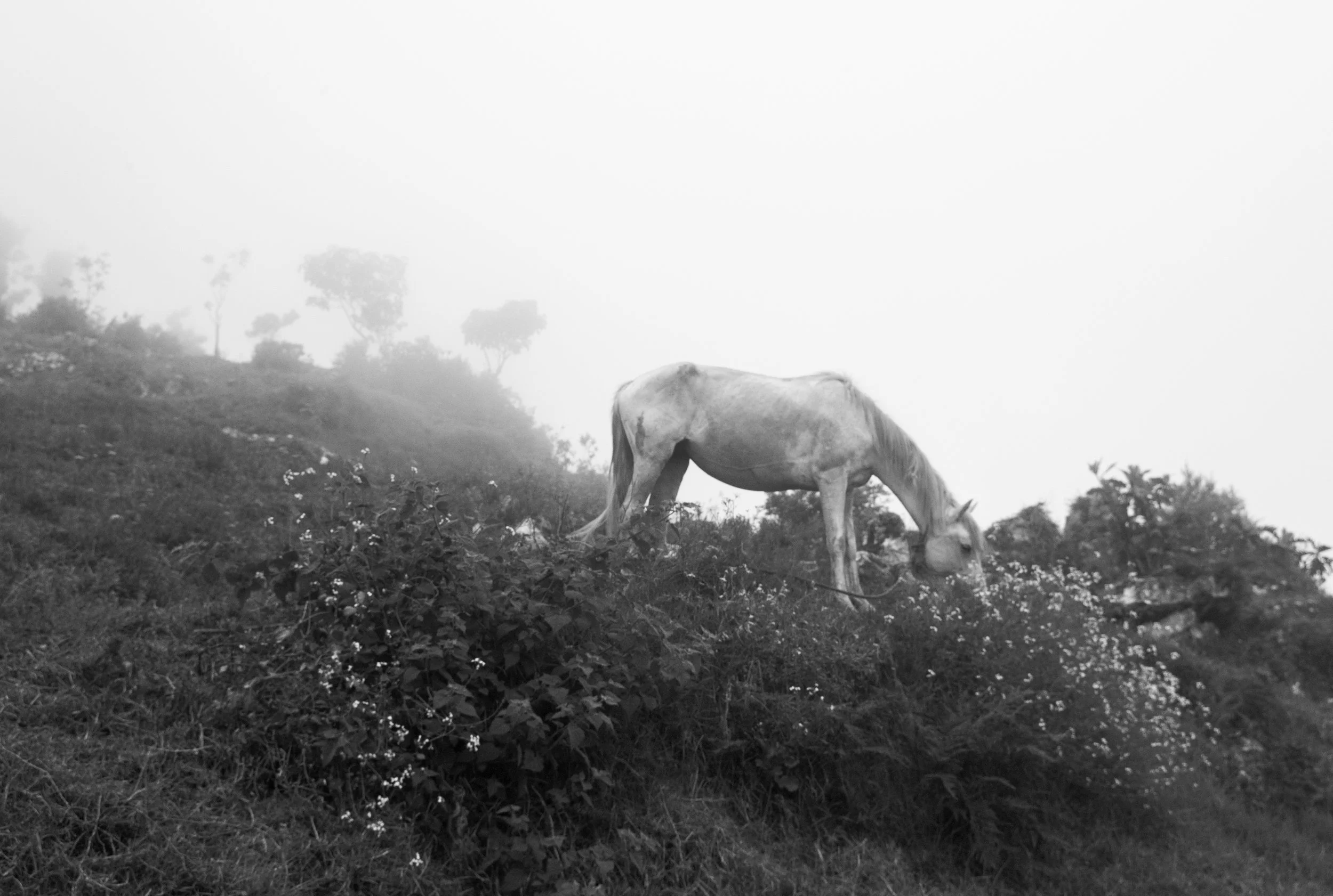 L2385167.jpg