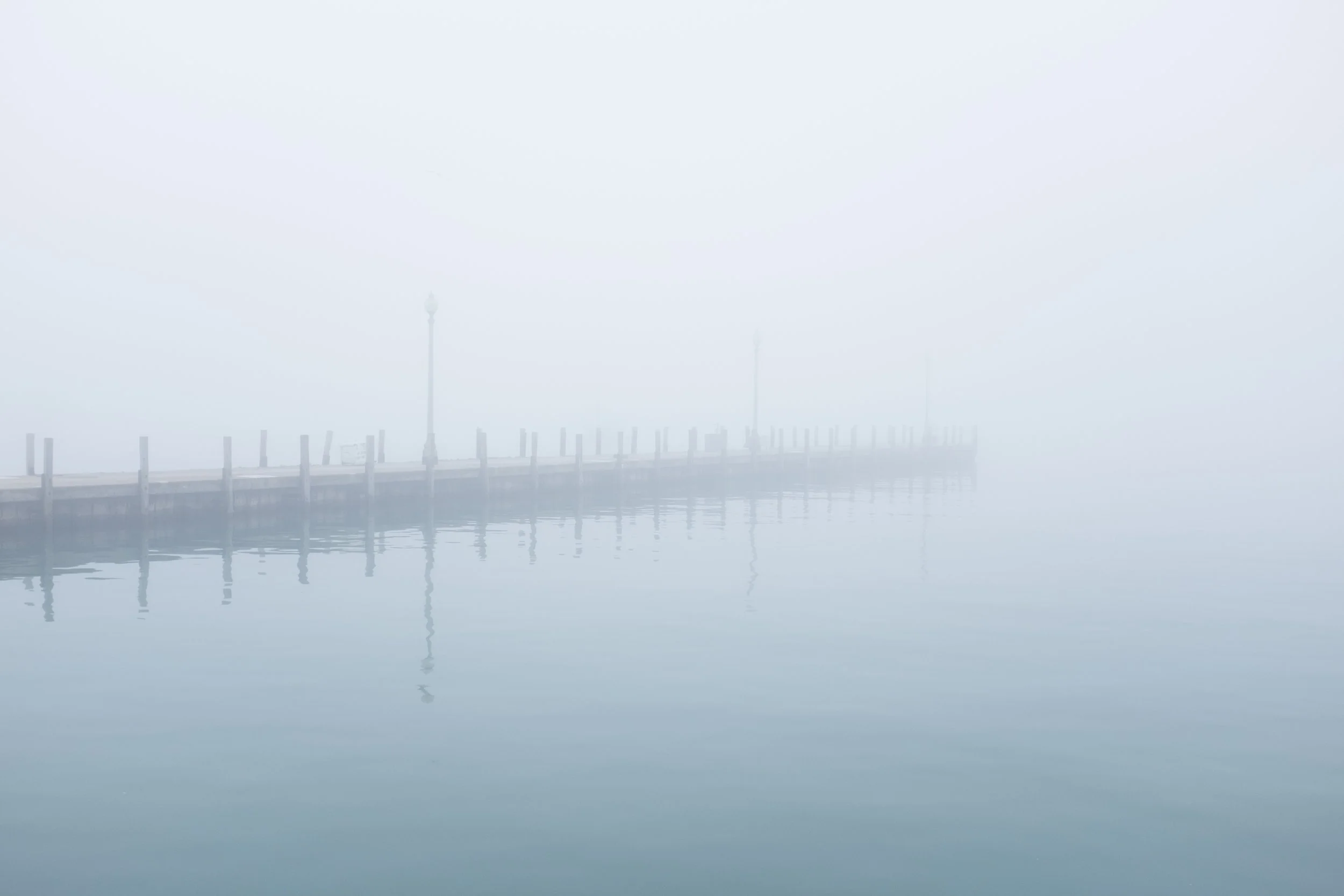 _DSF4248.jpg