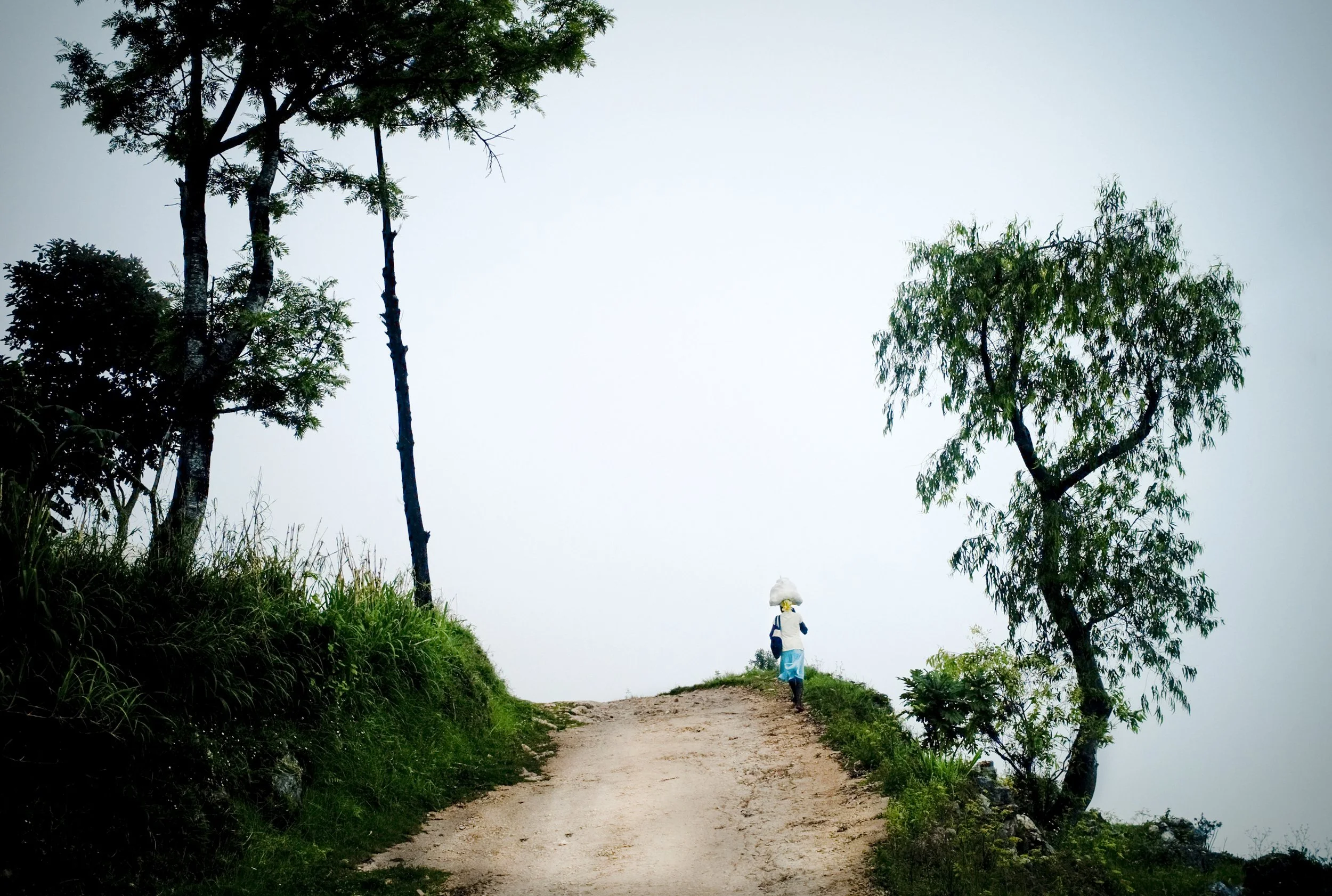 L2385161-Edit.jpg
