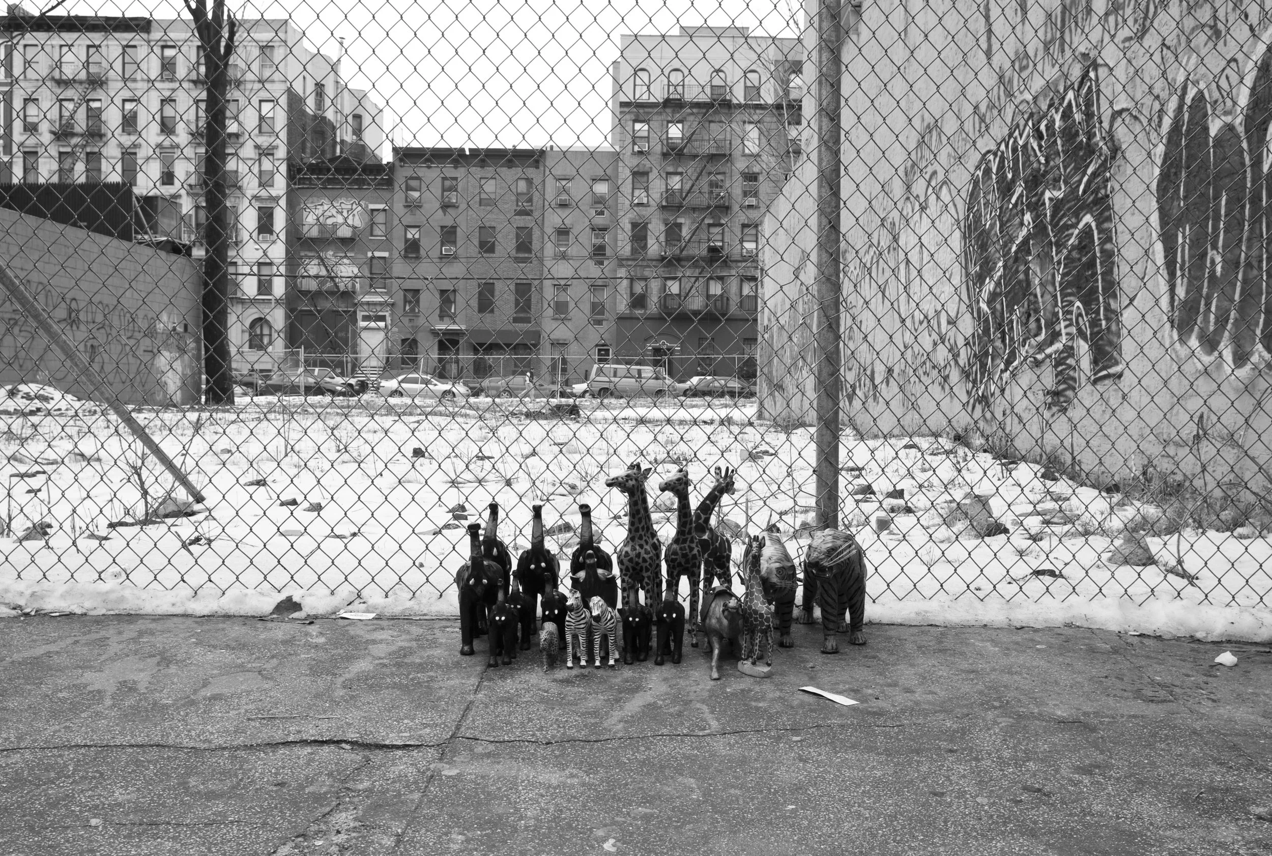 L1001714.jpg