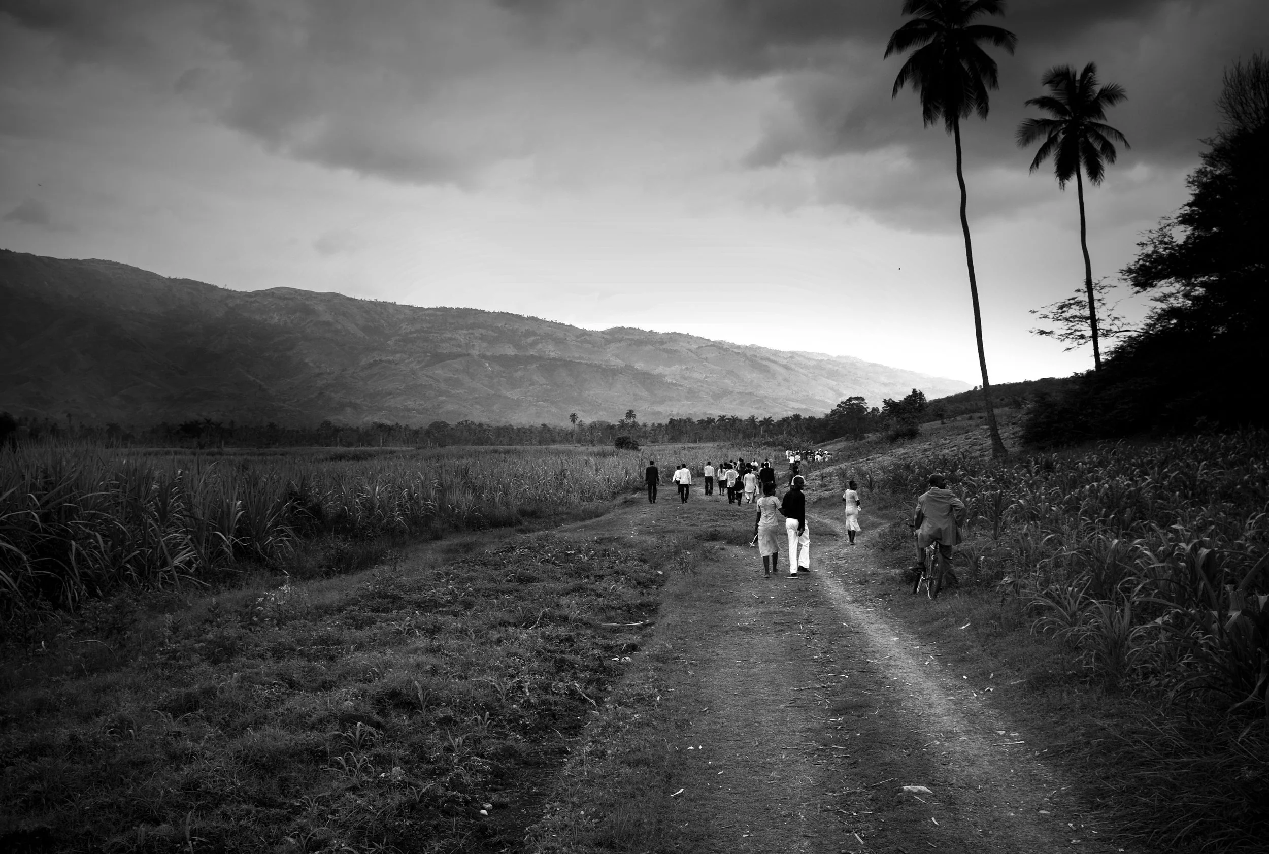 L5000394-Edit.jpg