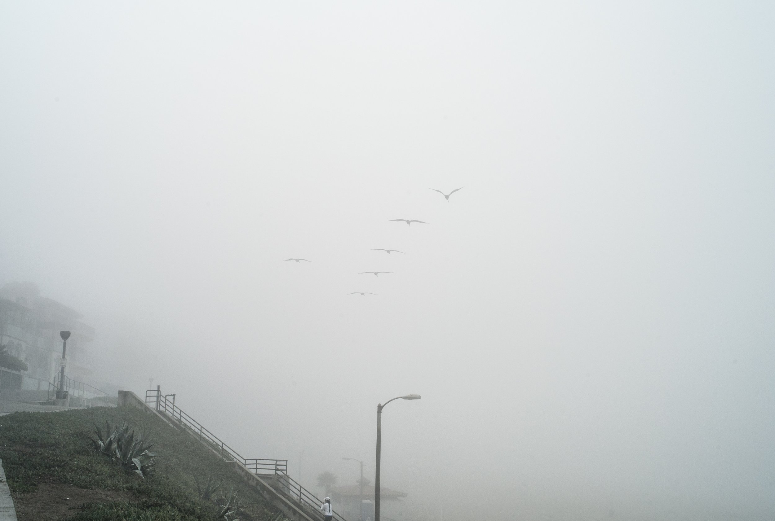 L5003248.jpg