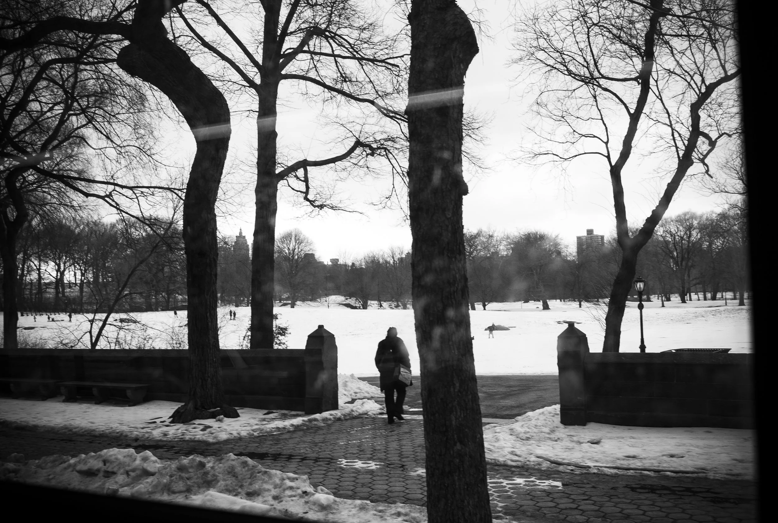 L1001724.jpg