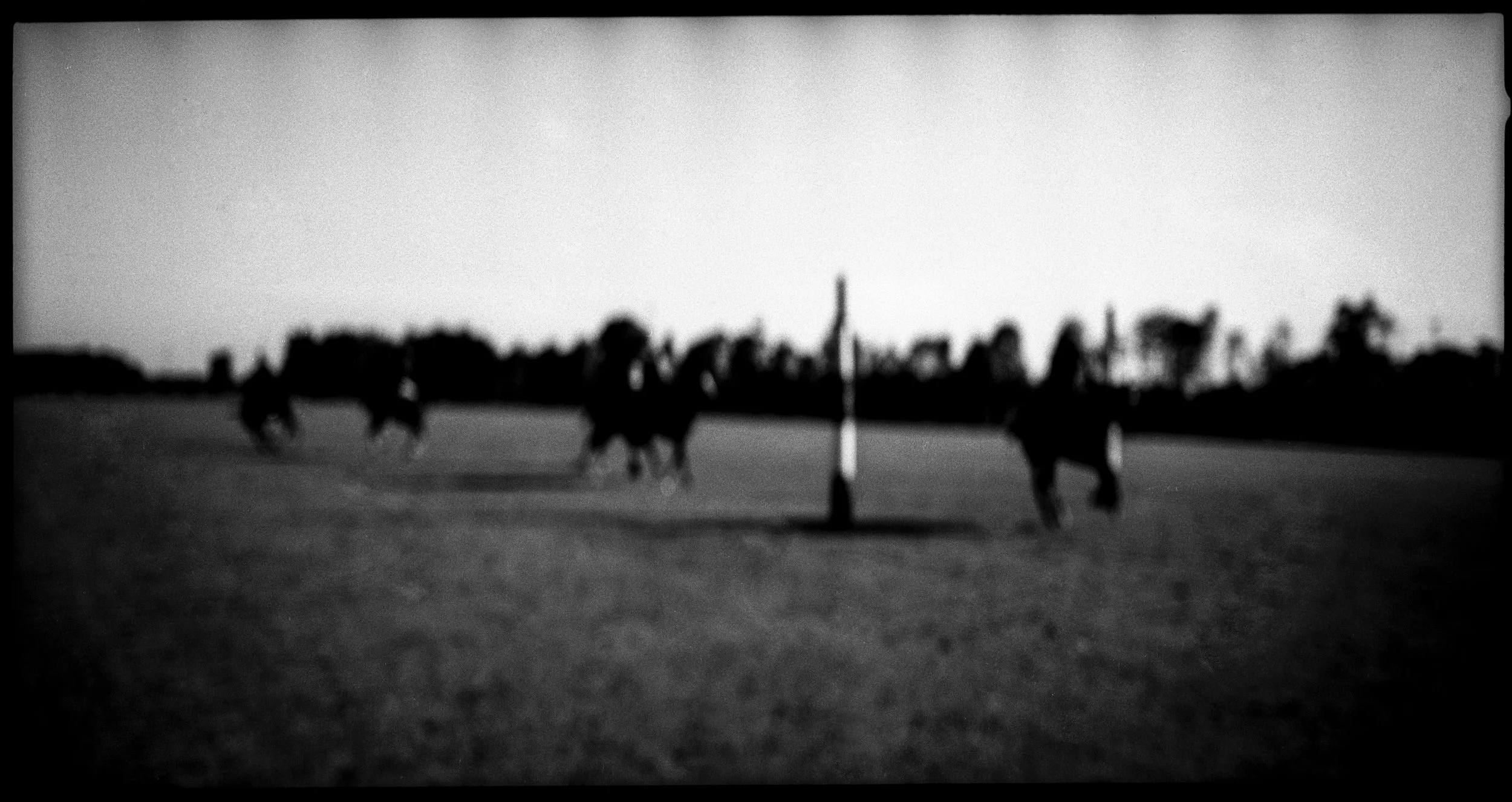 polo the chase.jpg