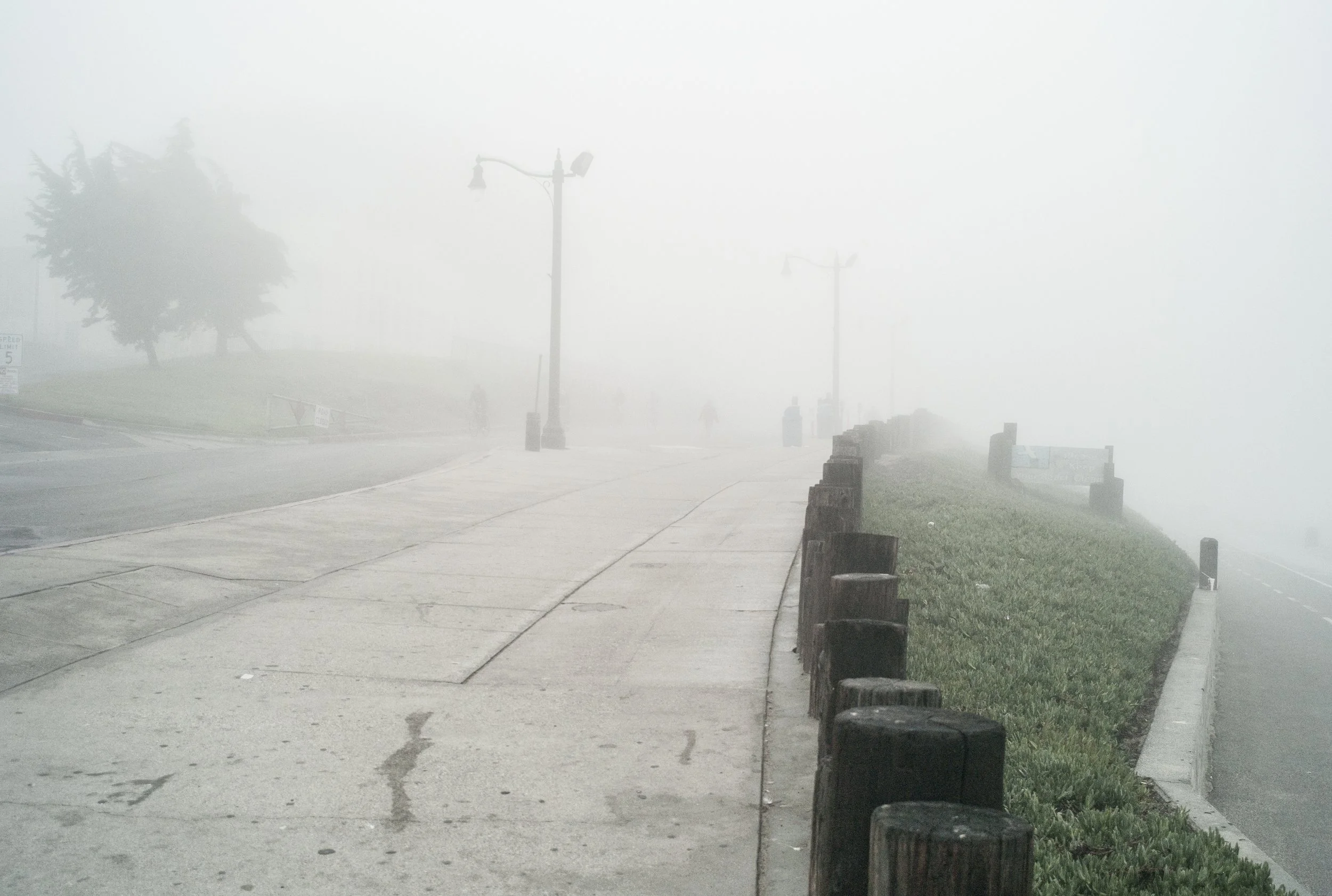 L5003234.jpg