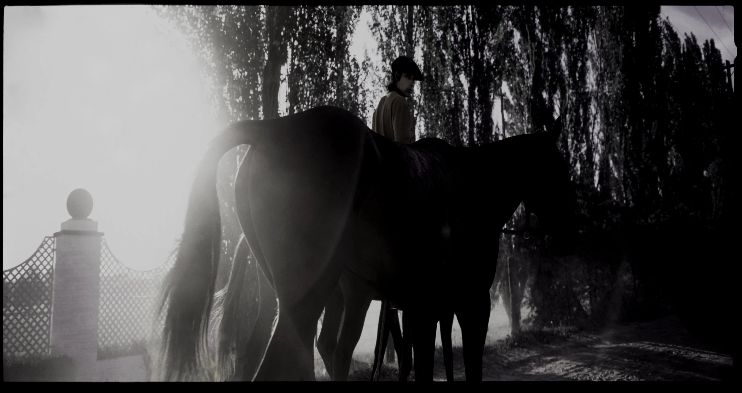 polo club sunset.jpg