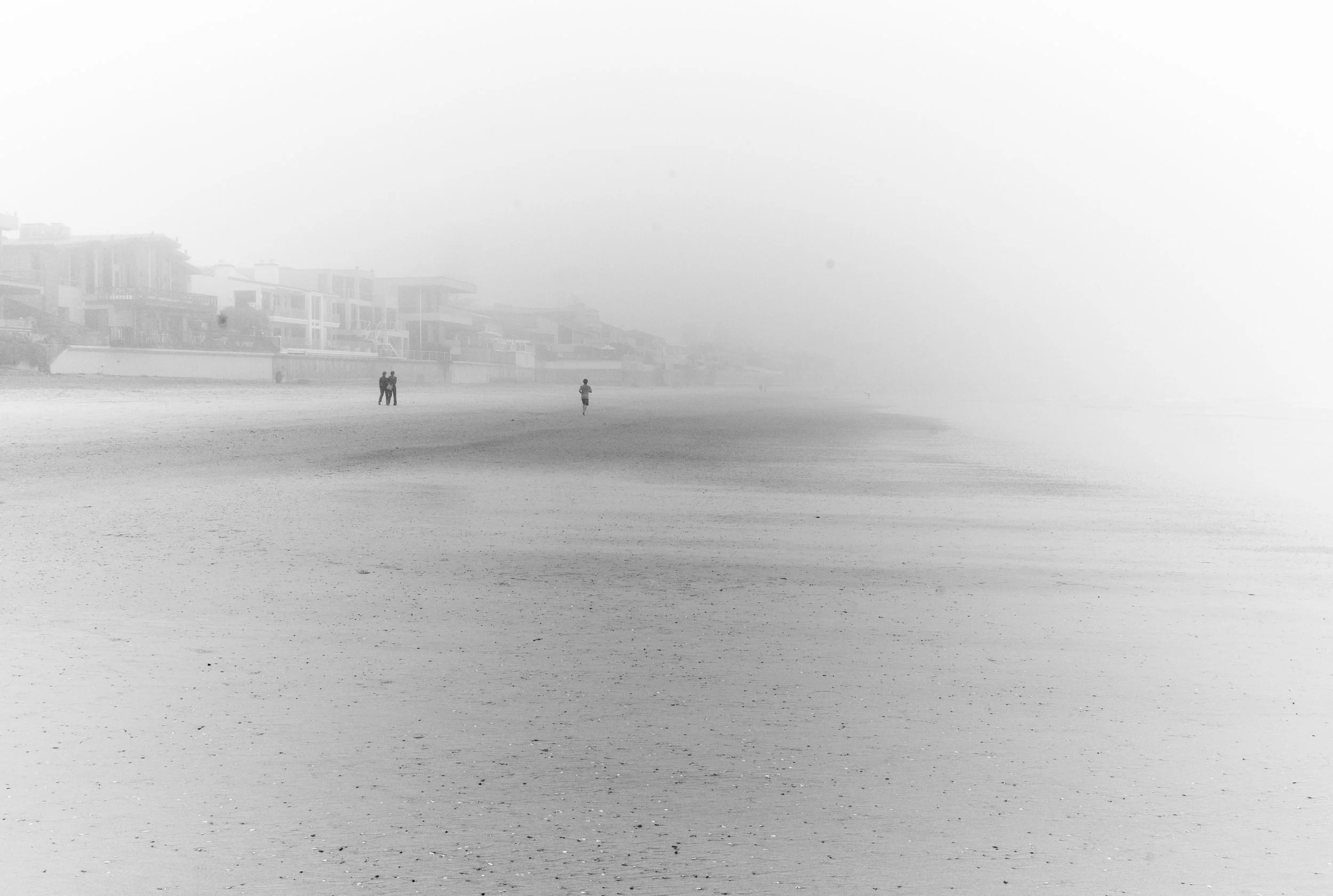 L1000344.jpg