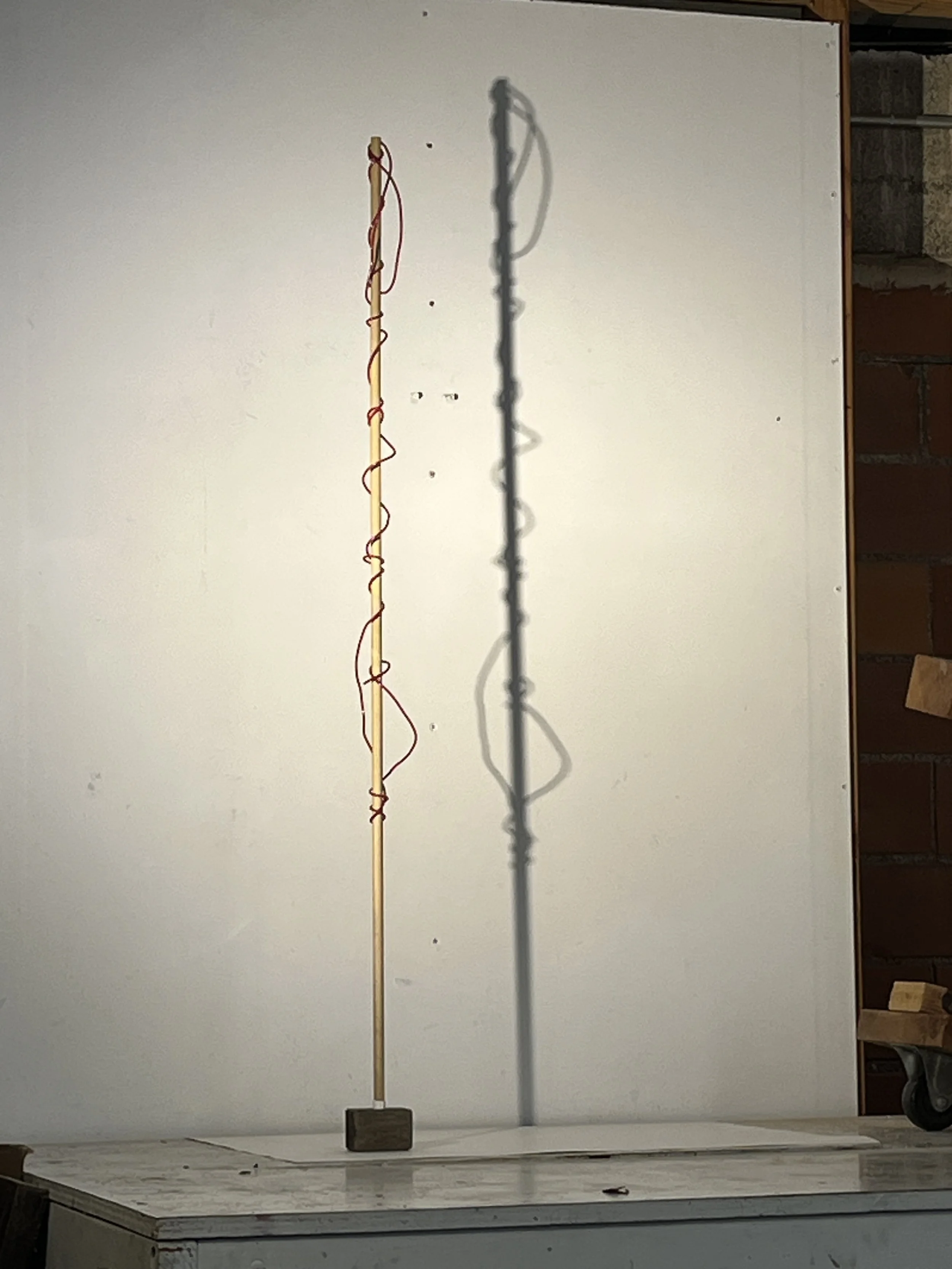 Wired, 50 x 3 x 2", Wood and Wire, 2026