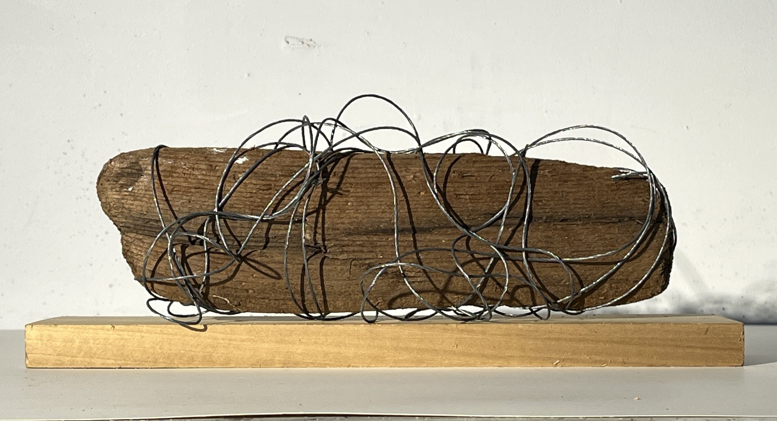 Caught, an Environmental Statement, 6 x 14x 3", Driftwood and Wire, 2026