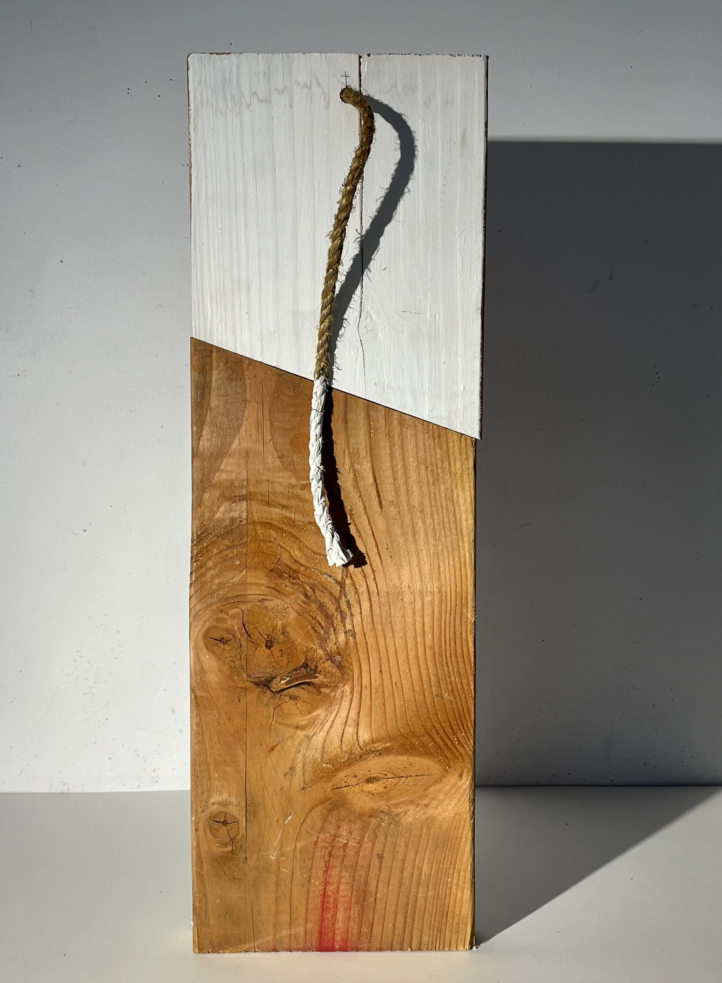 Roped, 6 x 14, x 3",  Rope, Paint, & Wood, 2025