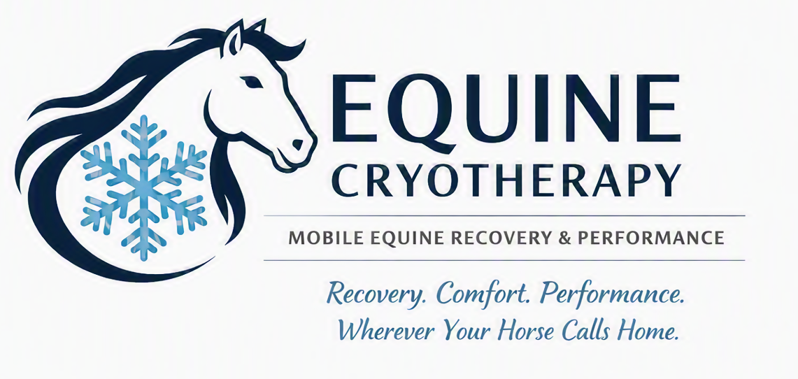 Equine Cryotherapy
