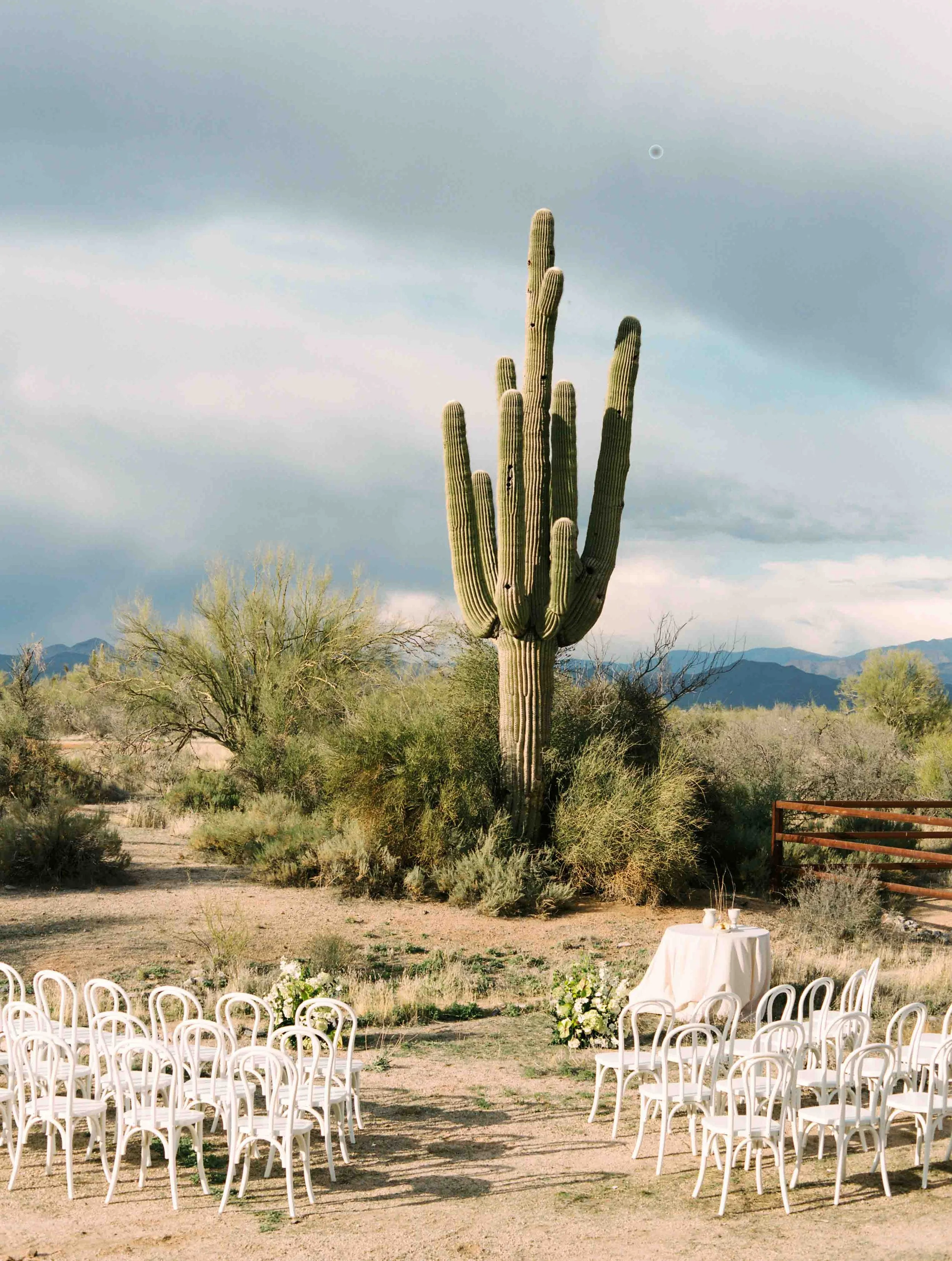 Outdoor wedding ceremony setup in desert landscape with a large saguaro cactus, white chairs arranged in rows, a small table with a white cloth, flowers, and a table set for two, with mountains and cloudy sky in the background.