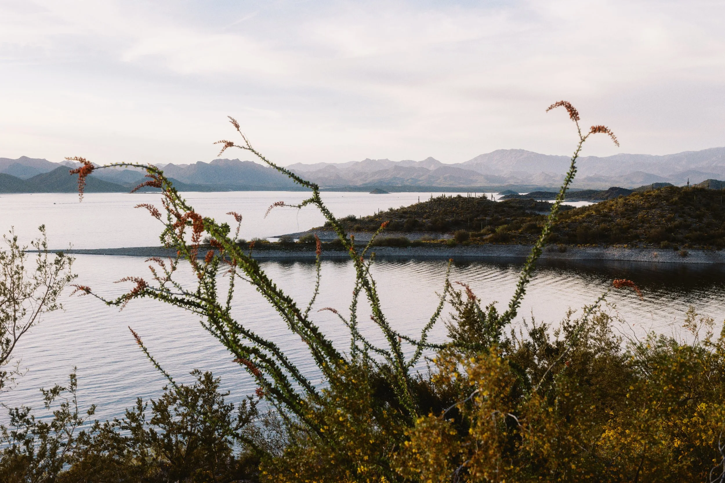 View of a lake or river with mountains in the background and desert vegetation in the foreground.