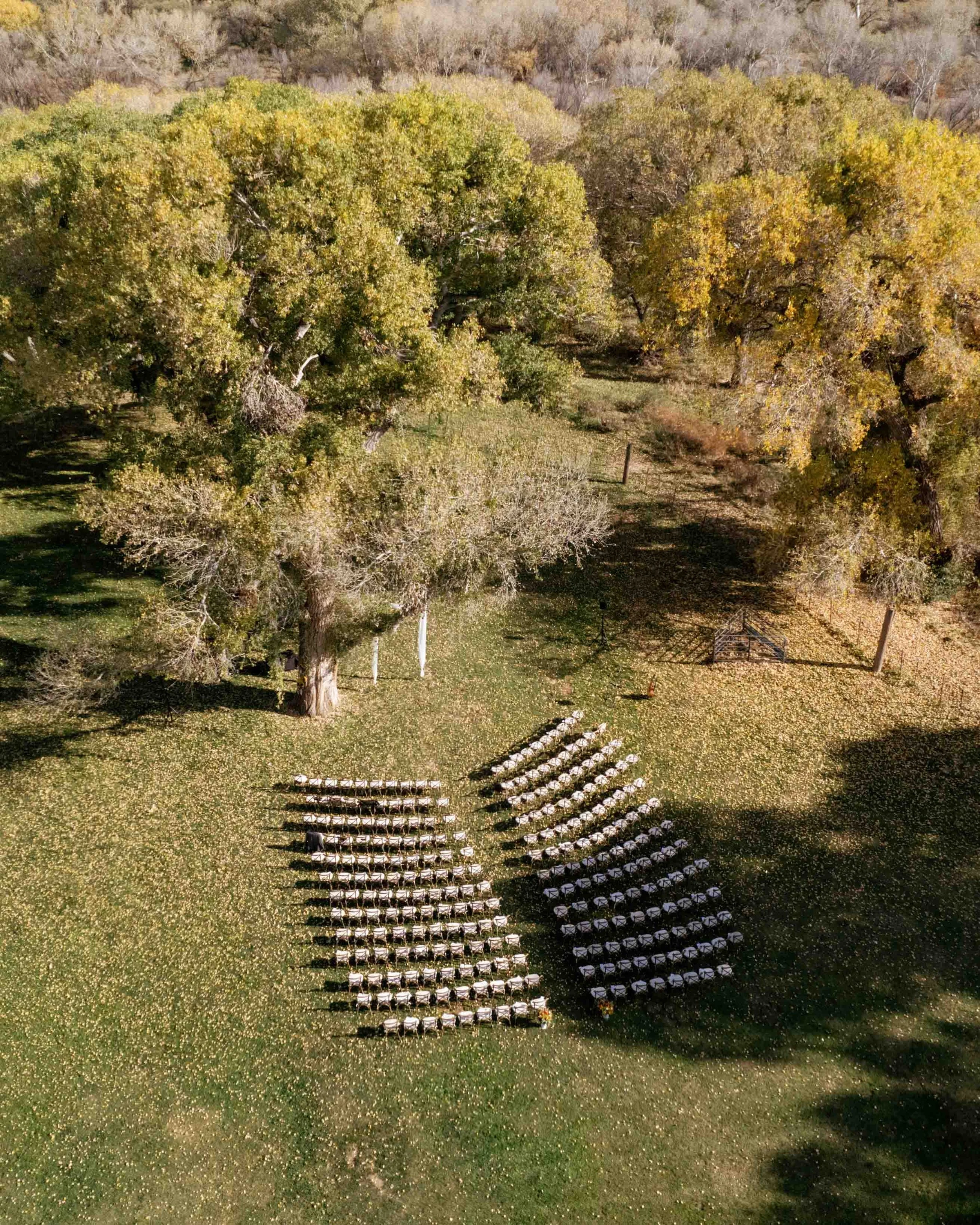 An aerial view of an outdoor wedding ceremony setup on green grass, featuring rows of white chairs arranged in a semi-circle around an altar. The scene is surrounded by large trees with yellow and green leaves, and fencing lines the perimeter of the 