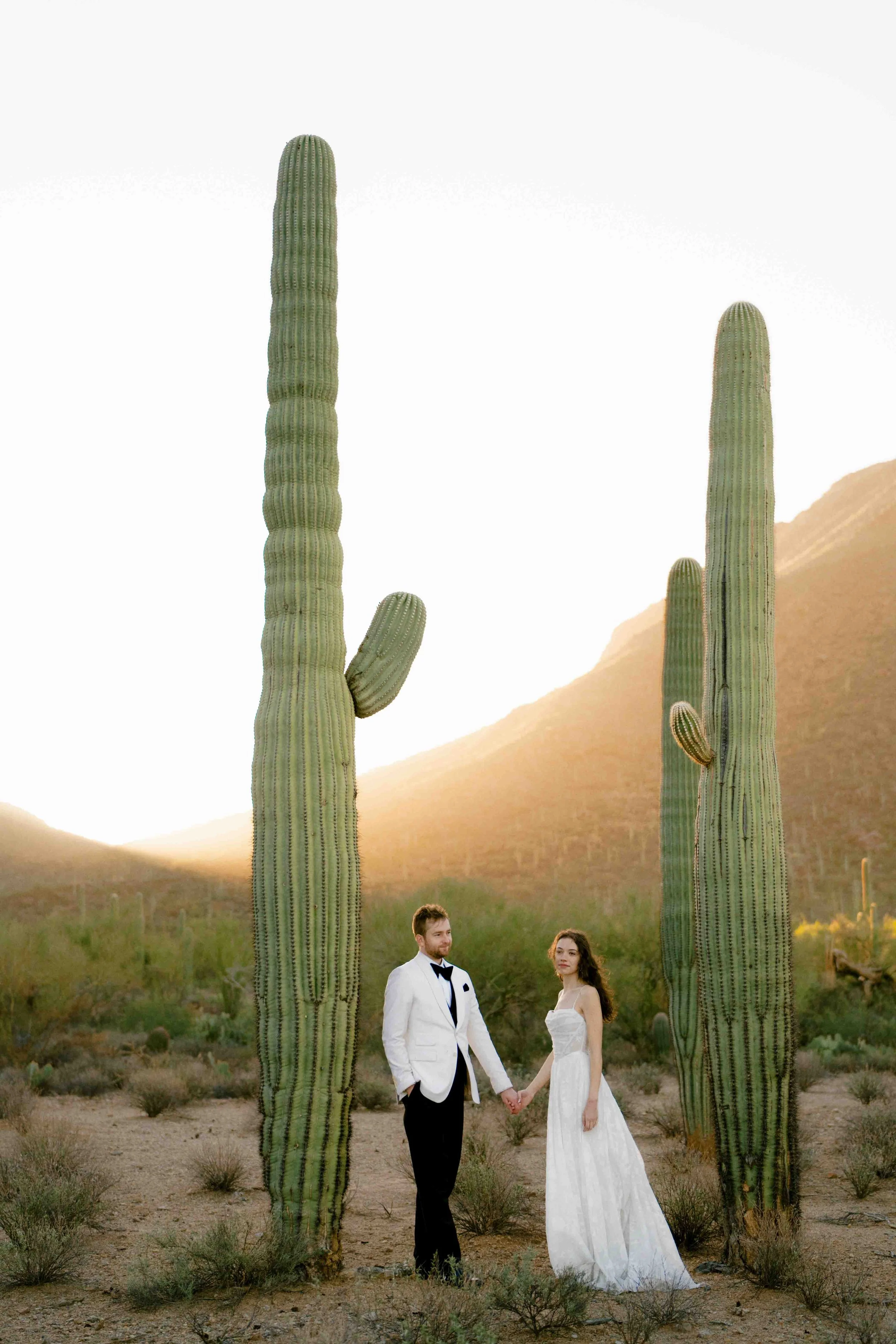 A bride and groom holding hands in a desert landscape with tall cacti, mountains, and a sunset sky.