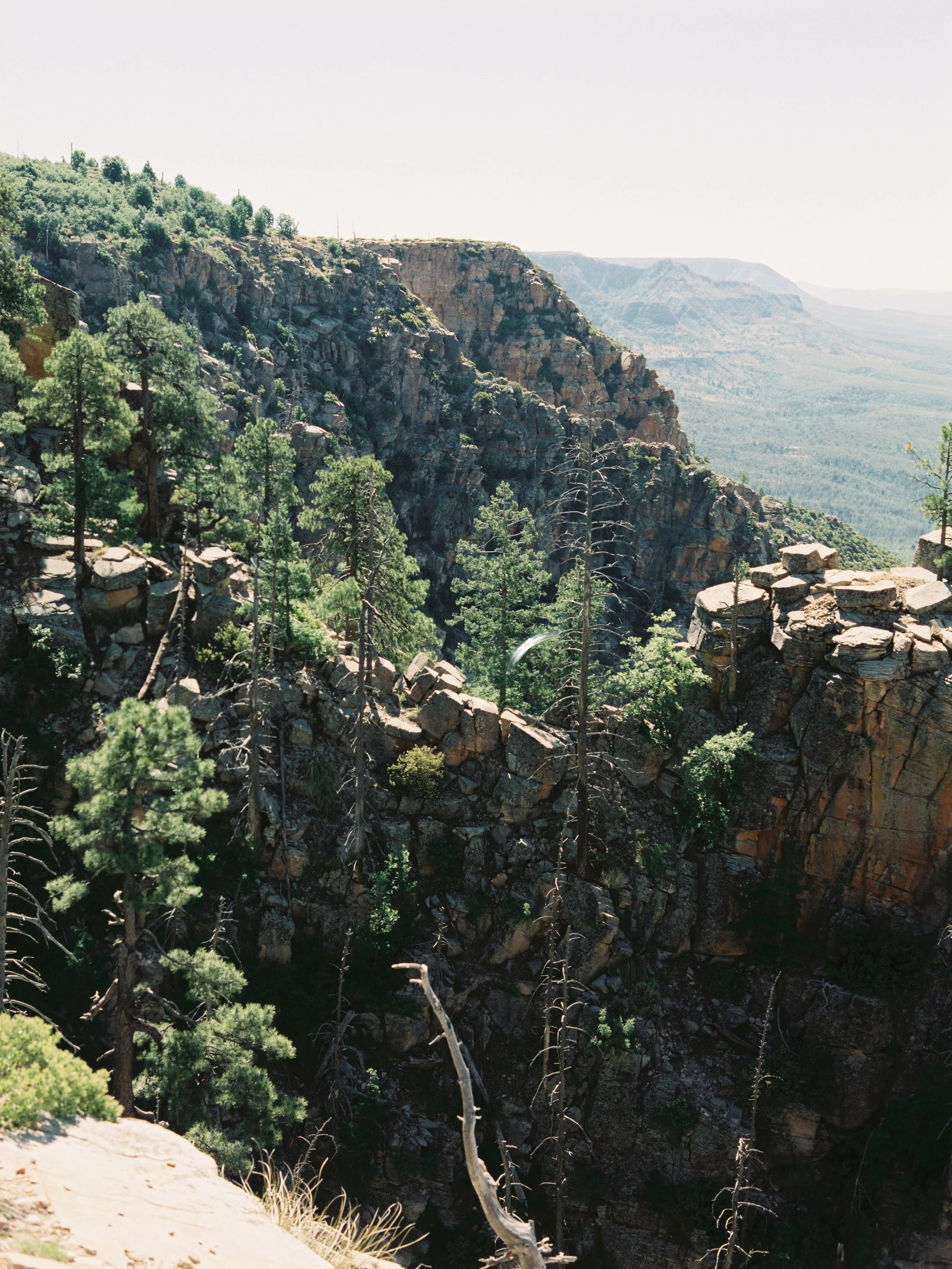 Deep canyon with rocky cliffs and green pine trees, distant mountain ridges, bright sky