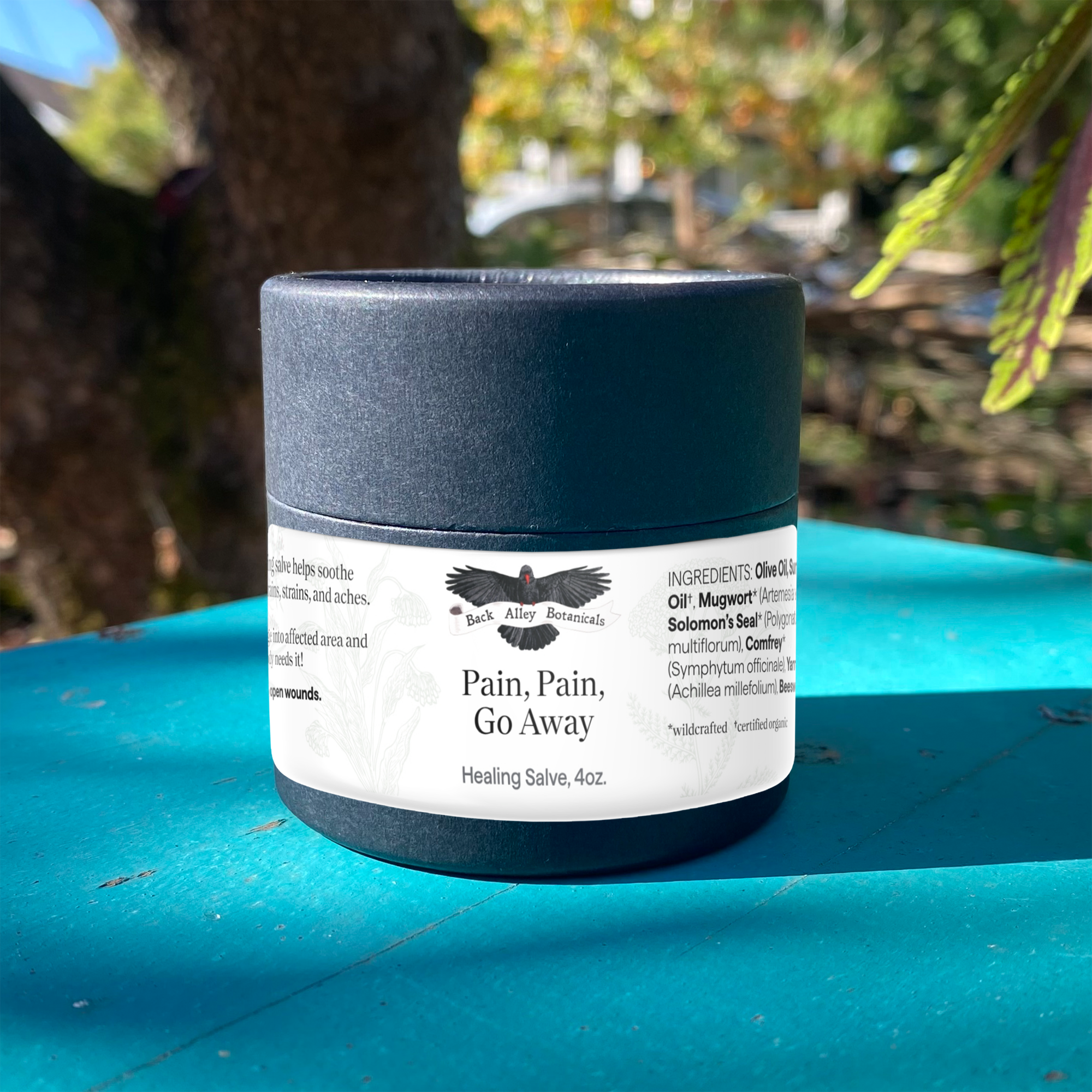 Pain, Pain, Go Away Herbal Salve Jar