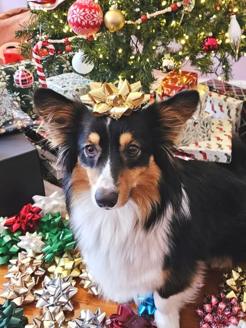 14 Expert-Approved Ways To Cope If You’re Spending Christmas Alone This Year