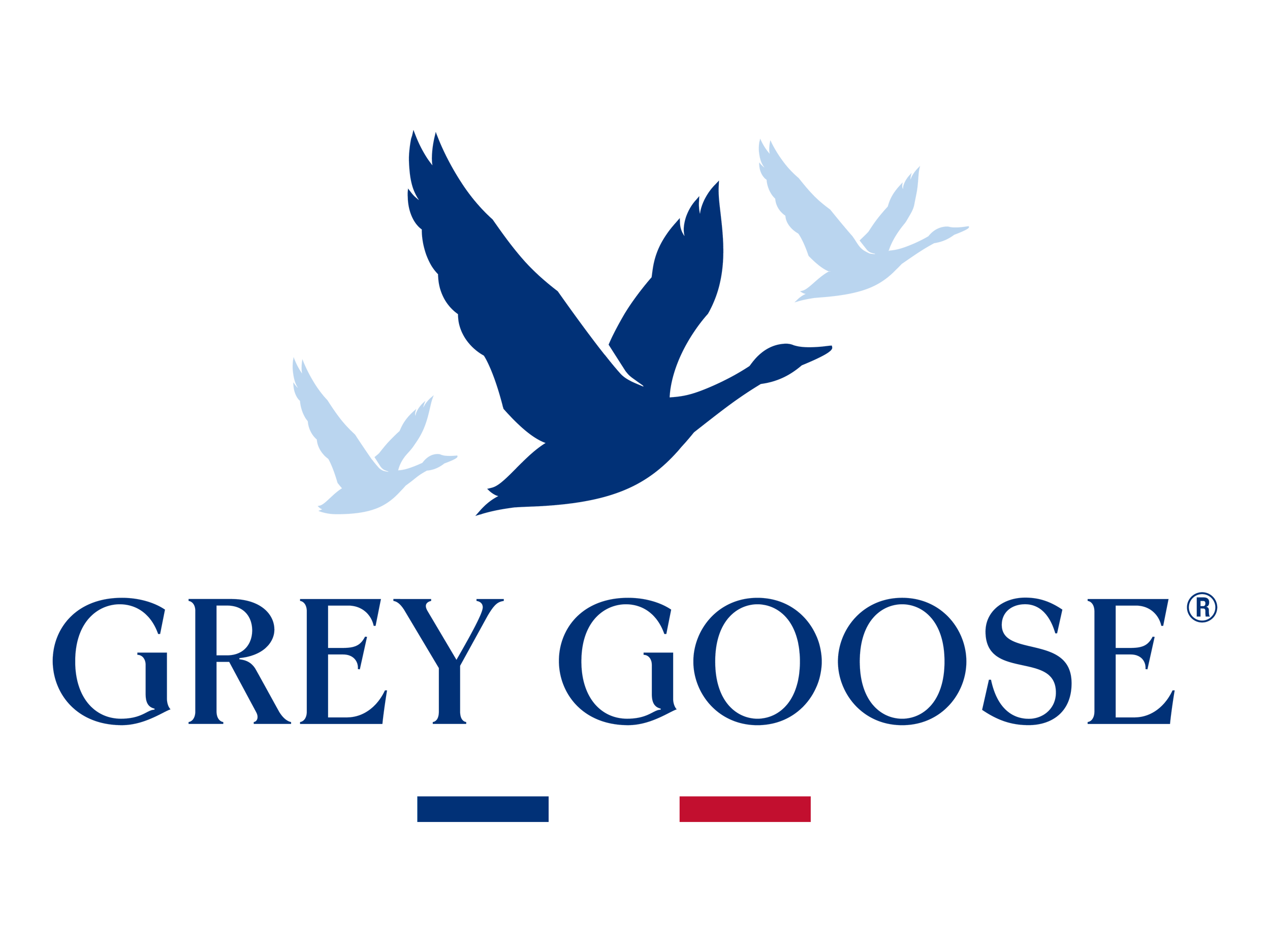 Grey Goose logo with a stylized goose and the words 'GREY GOOSE' in dark blue, with a small French flag underneath.