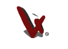 The Vxsionary